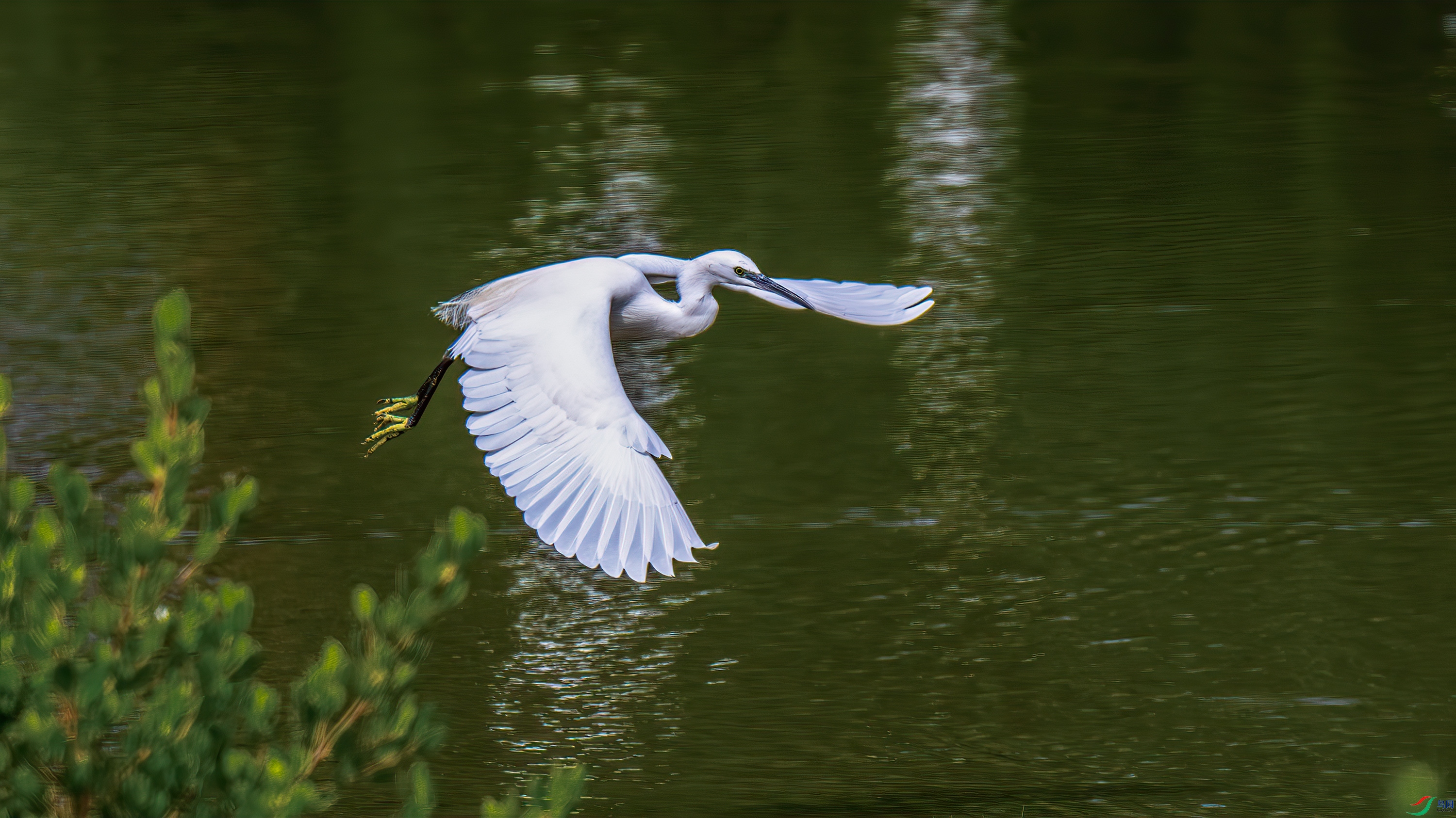 DSC_8038-����ǿ-NR.jpg