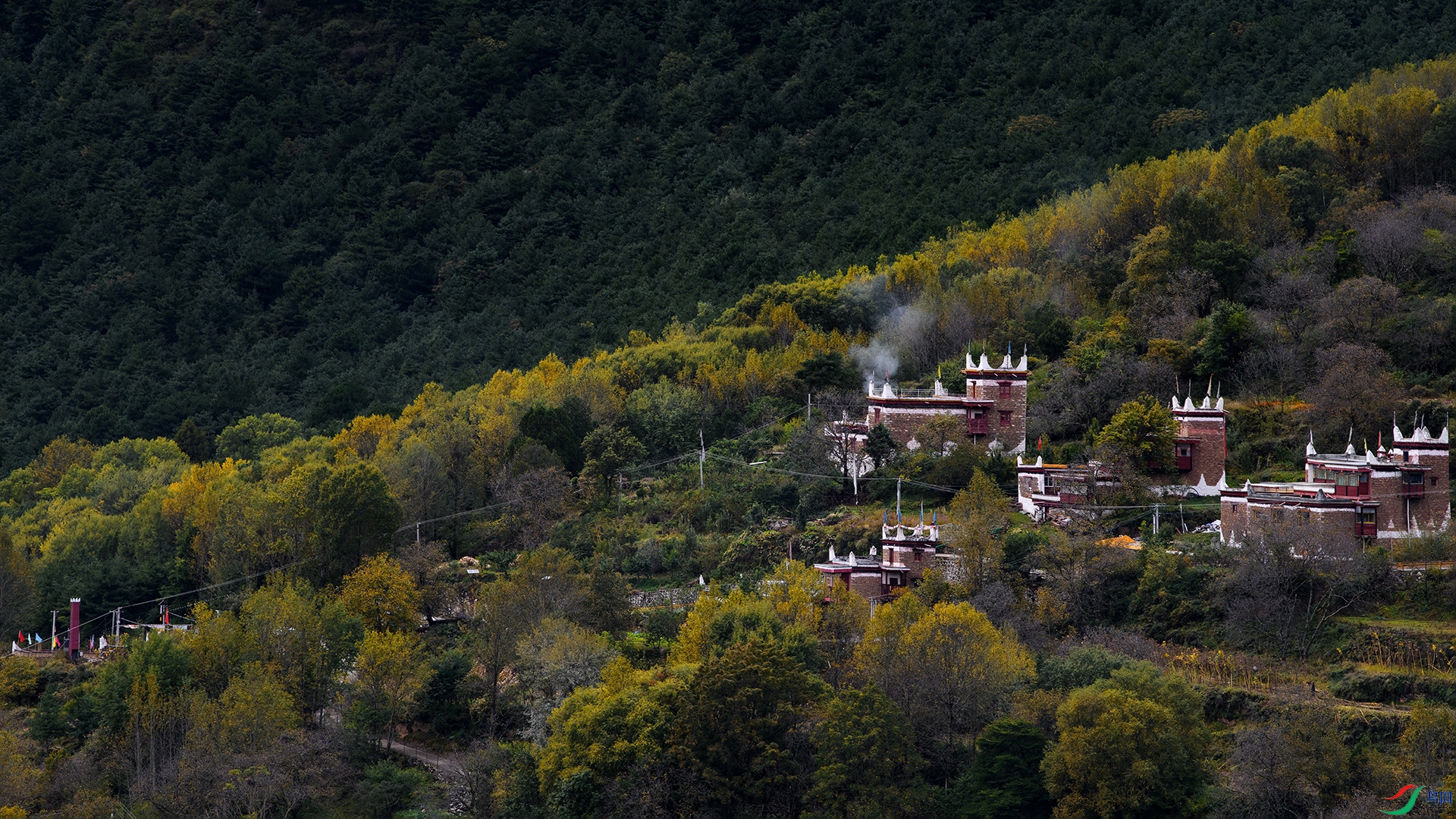 DSC_3991-20241027�ü�.jpg