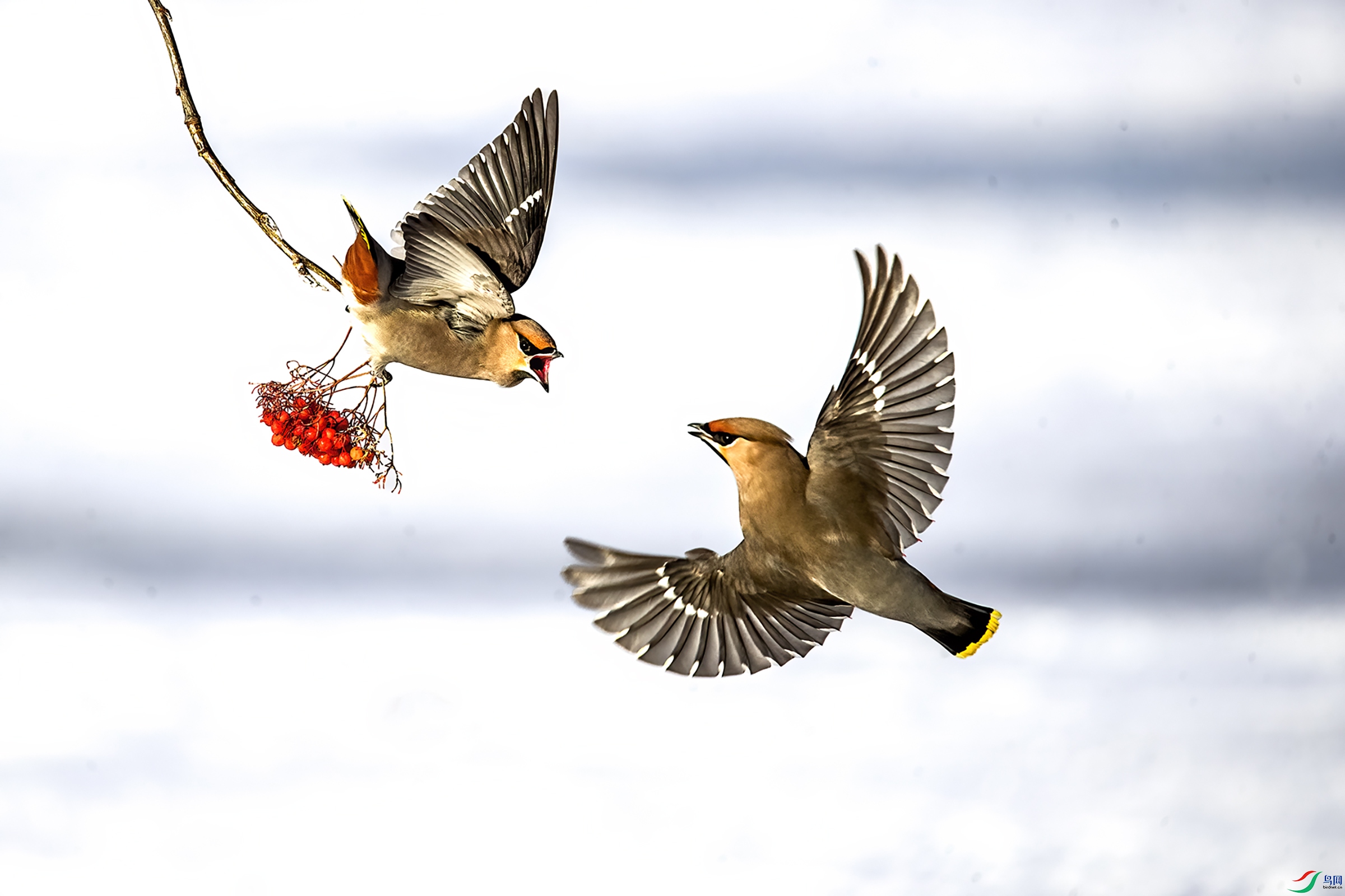 AW4I6930 ����.jpg