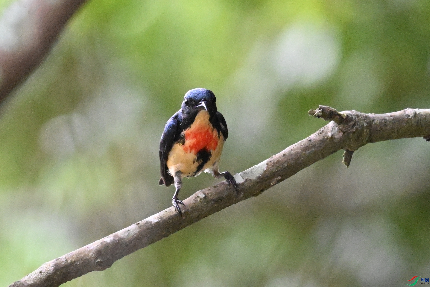 DSC_9830.JPG