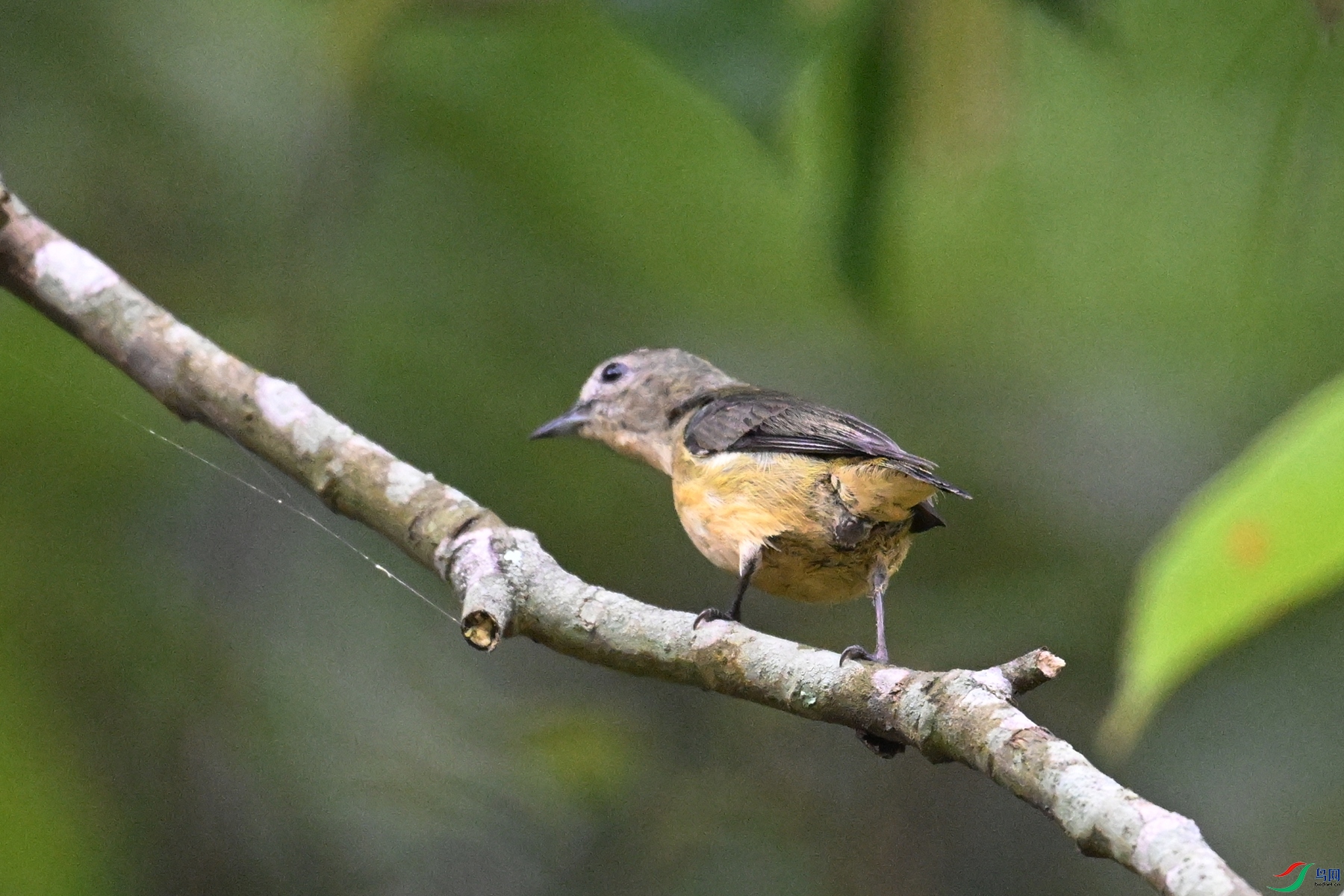 DSC_9870.JPG