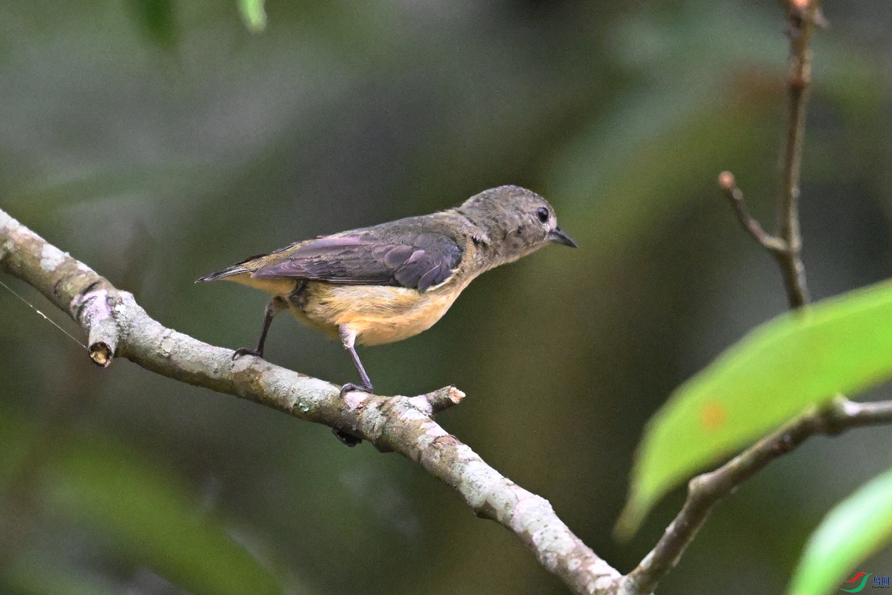DSC_9911.JPG
