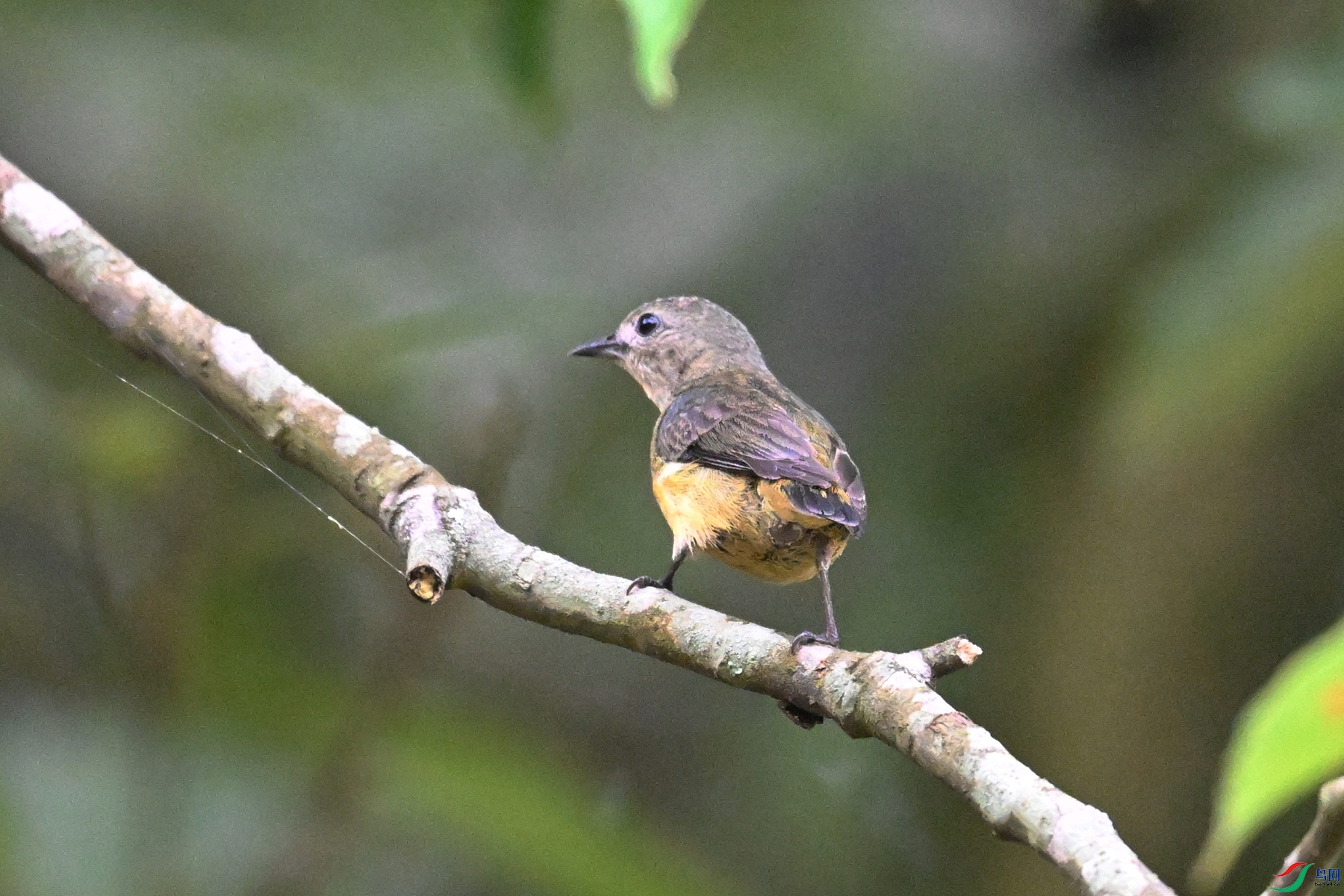 DSC_9924.JPG