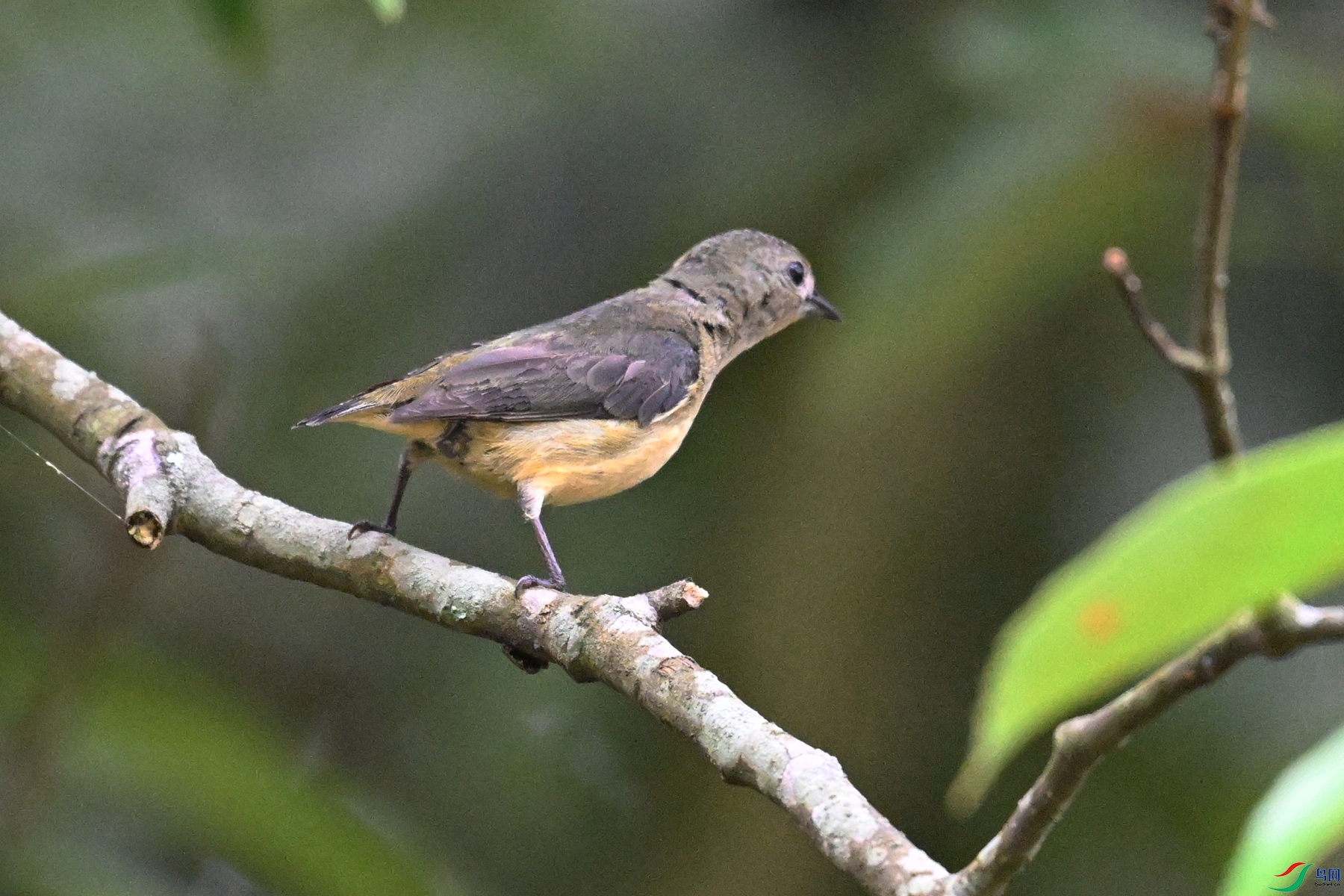 DSC_9913.JPG