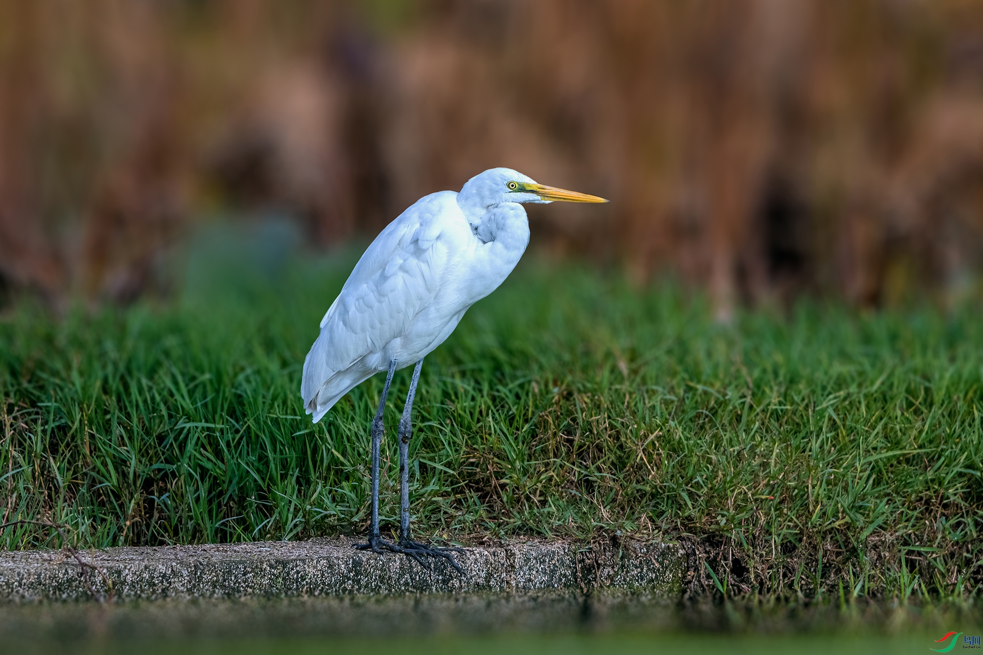 _AUU0720�а���(25.11.23).jpg