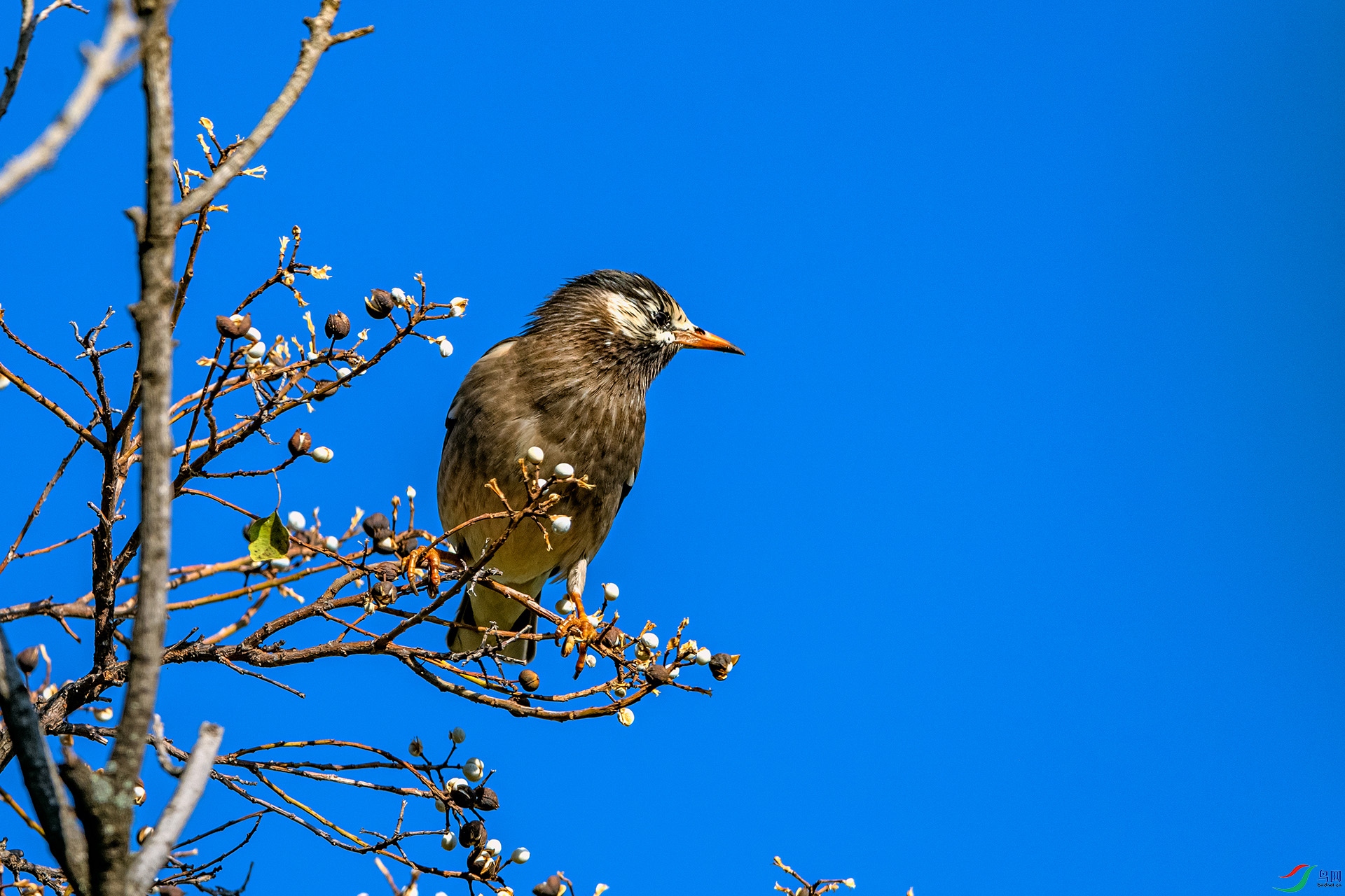 _AUU0878 �����(25.11.25).jpg