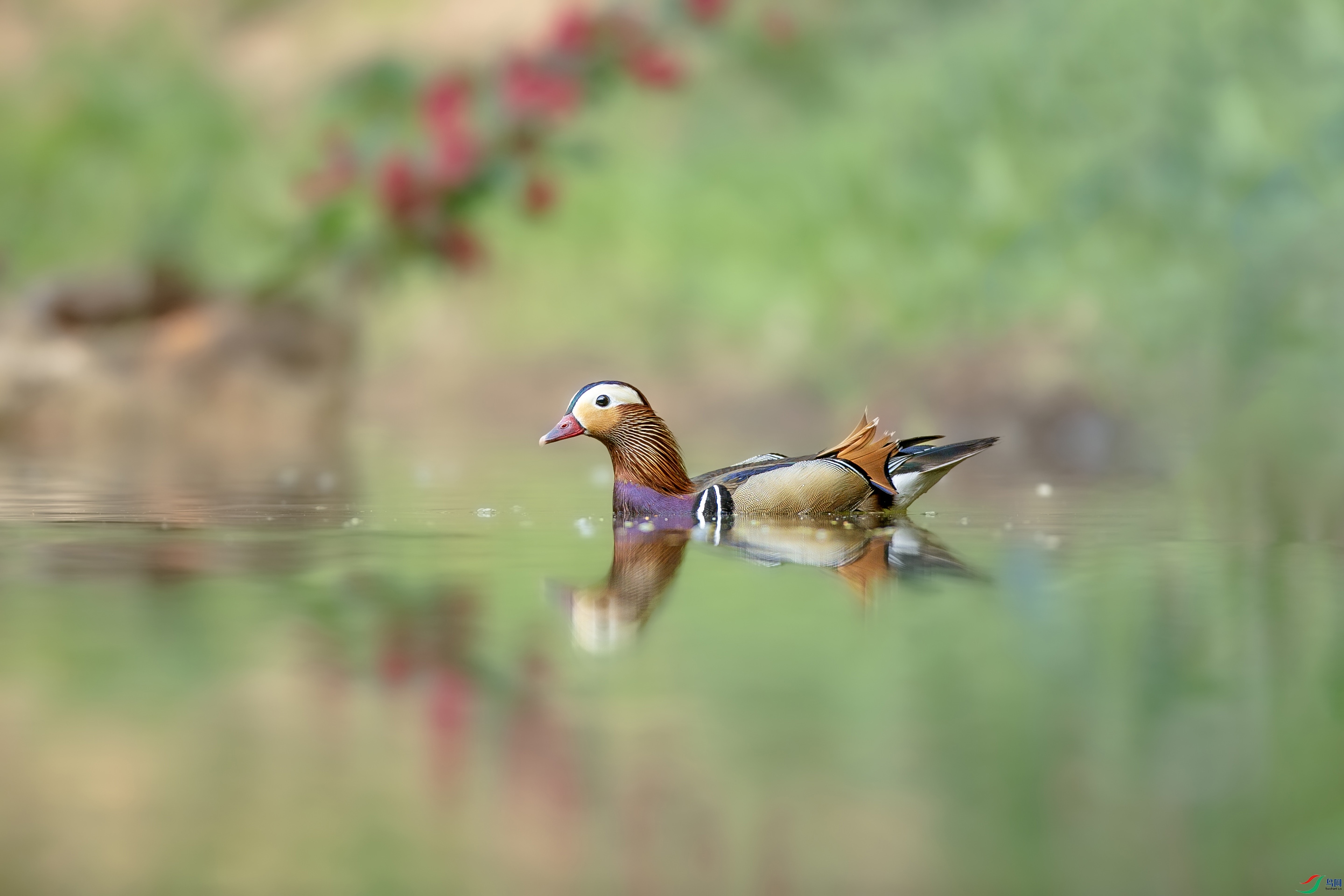 673A3891 ����.jpg