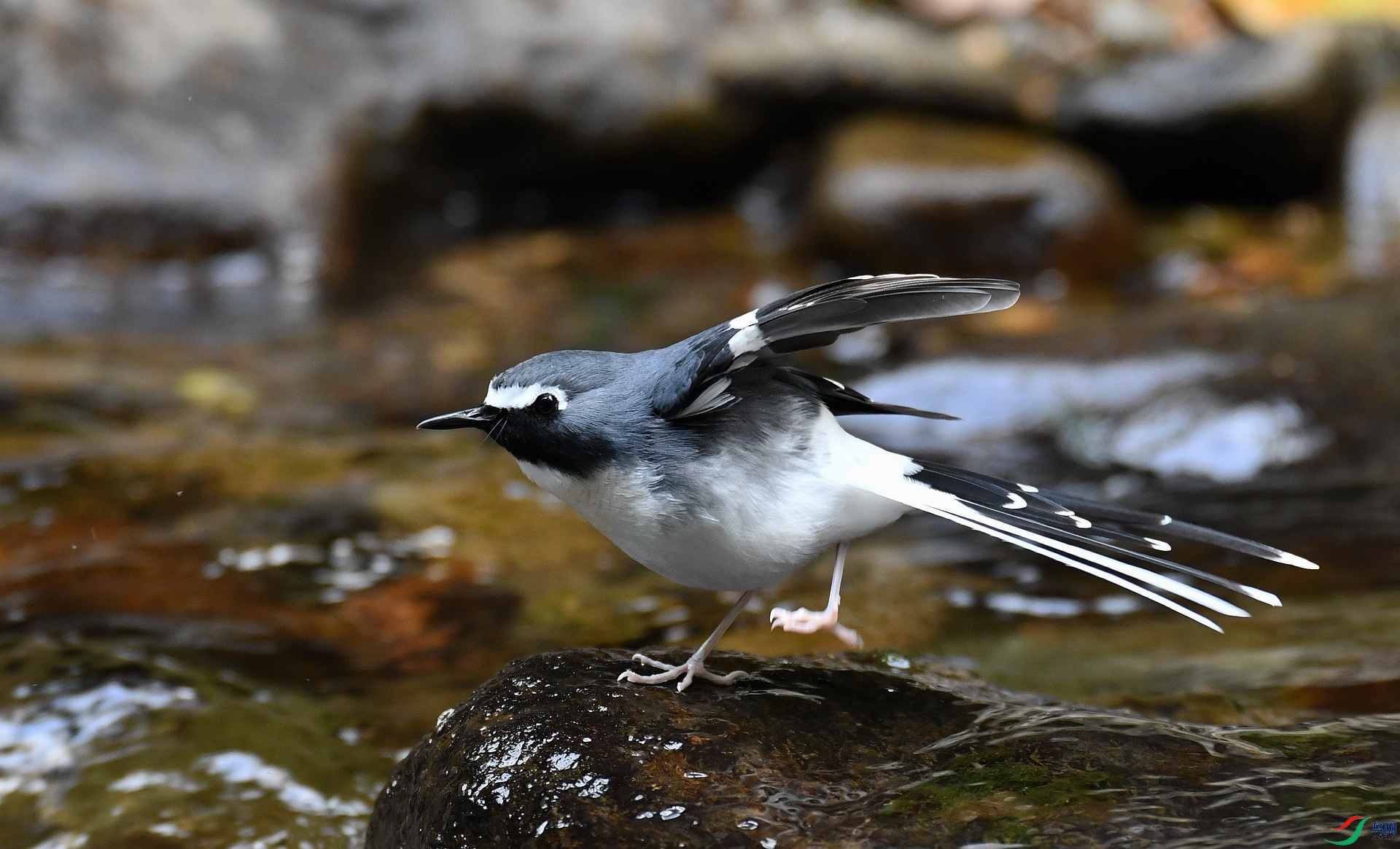 DSC_3798.jpg