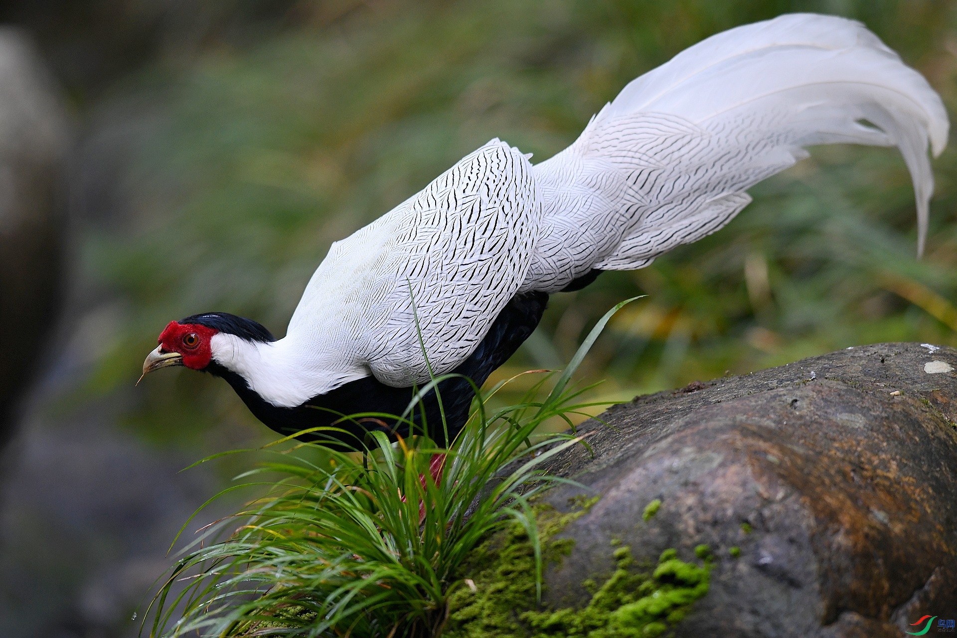 DSC_3412.jpg