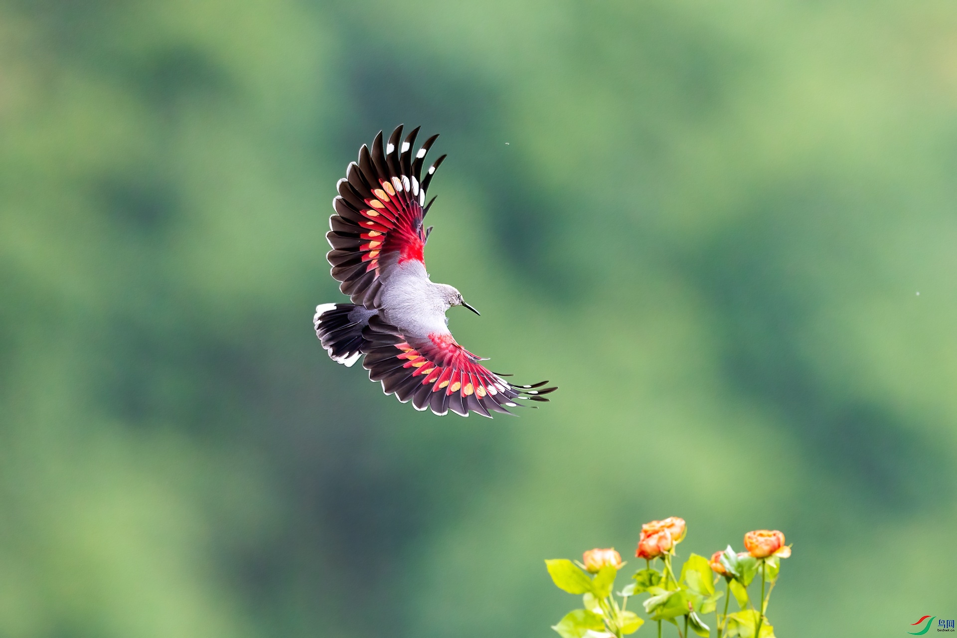 _15A3215_����.jpg