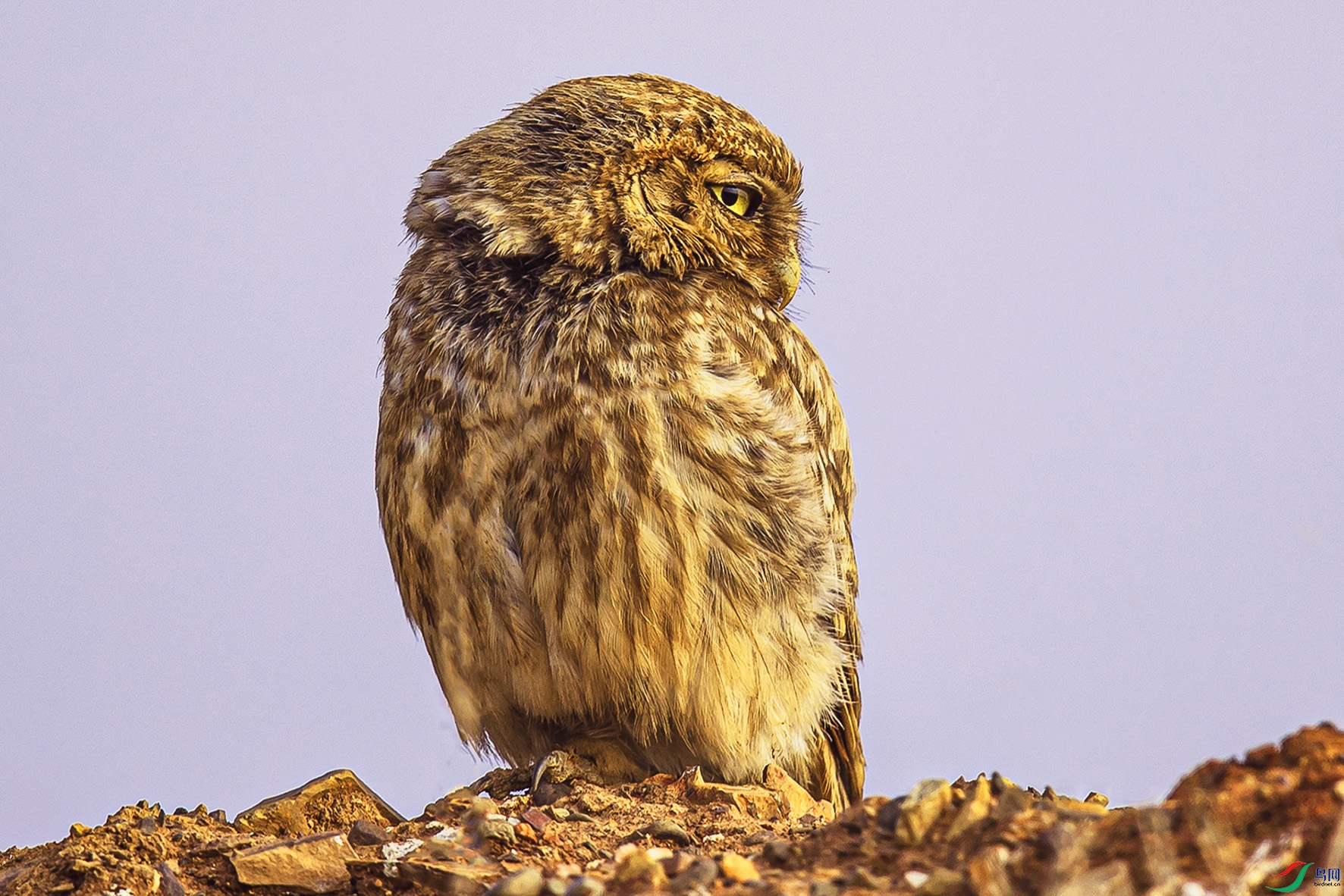 _90I8801 ���� 3.jpg