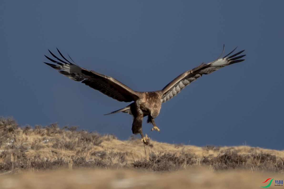 B26I6412 ץ��.jpg