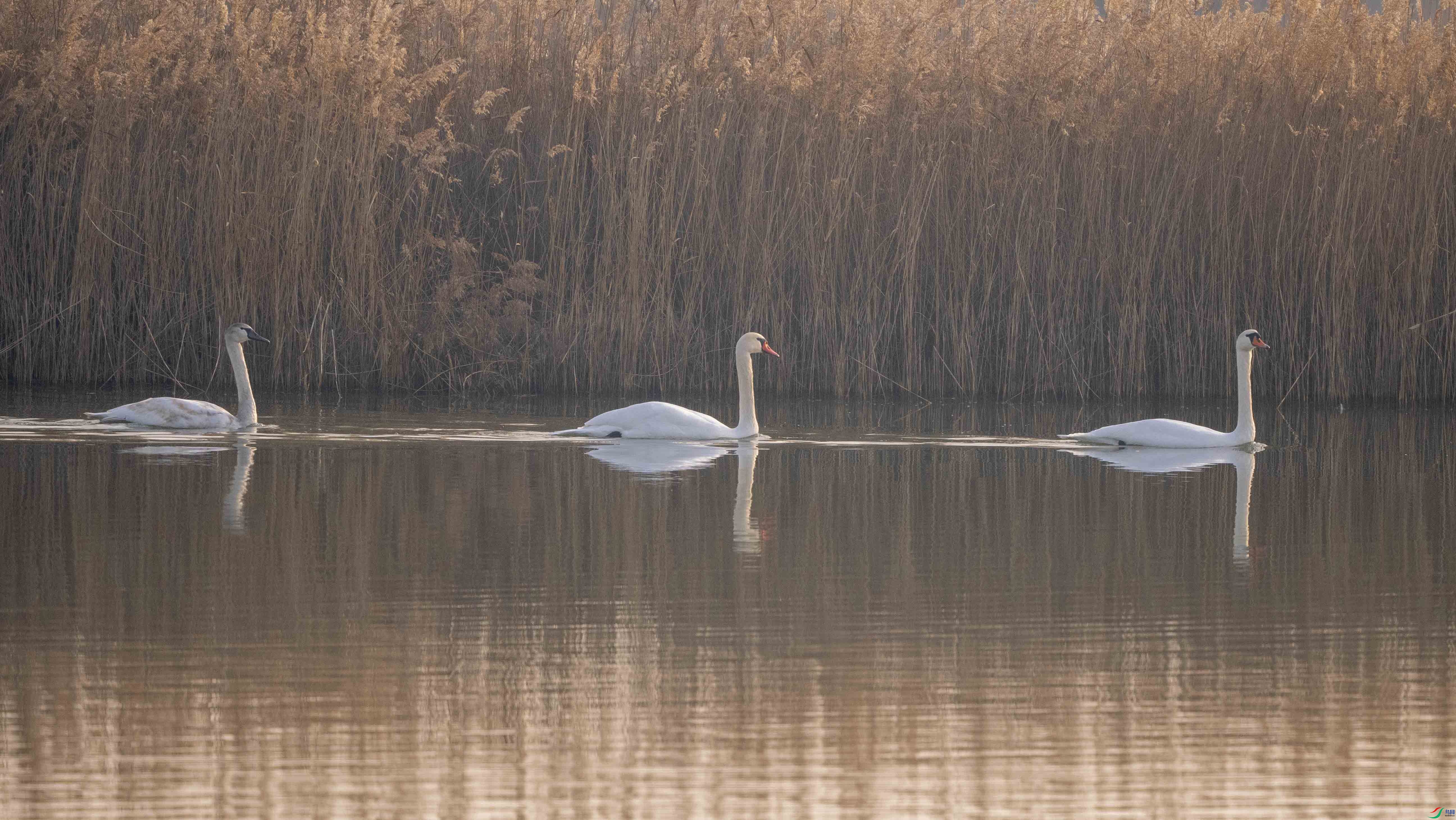 1-xtPC070036 ����.jpg-1.jpg