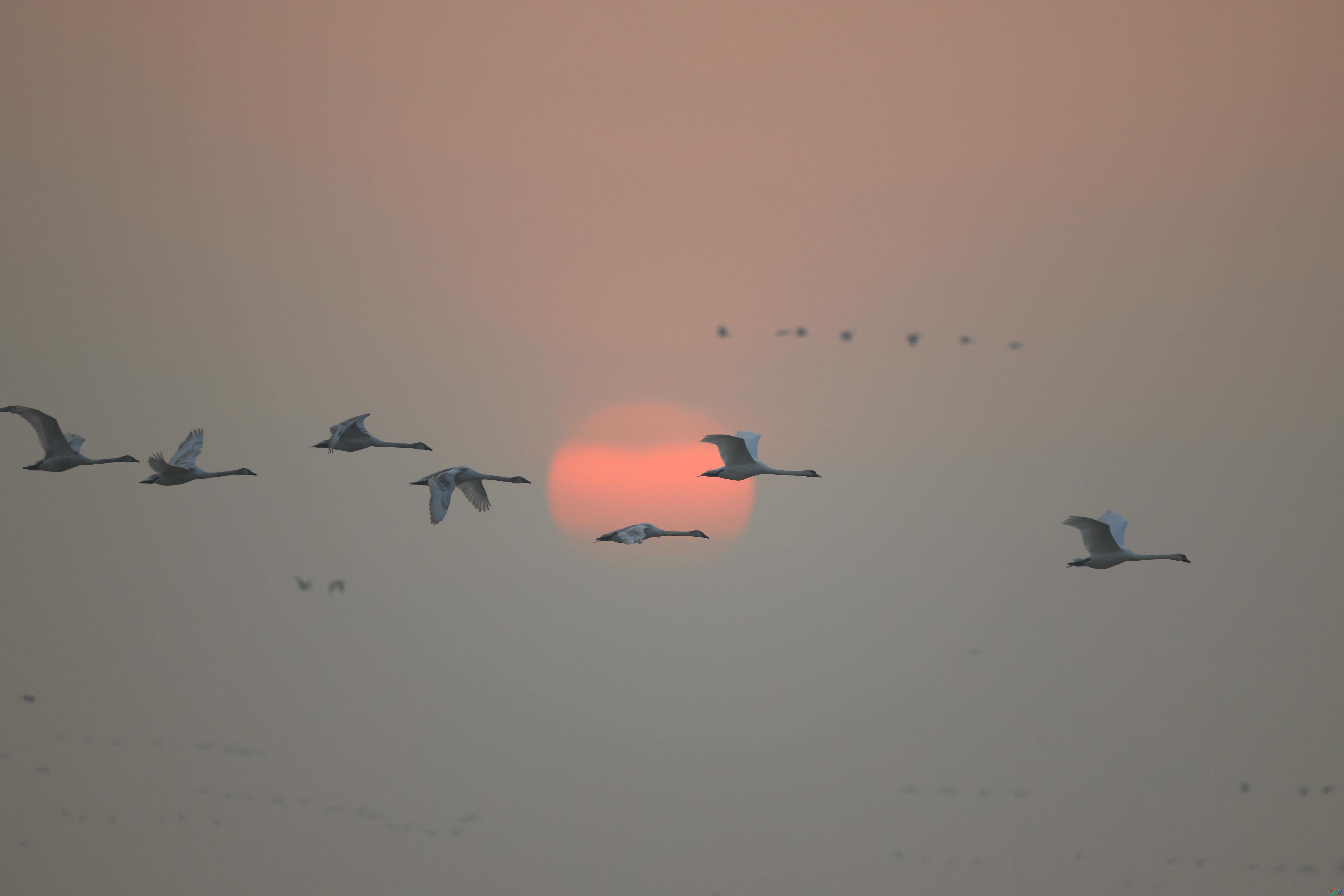 1-xt4L2A7422 ����.jpg