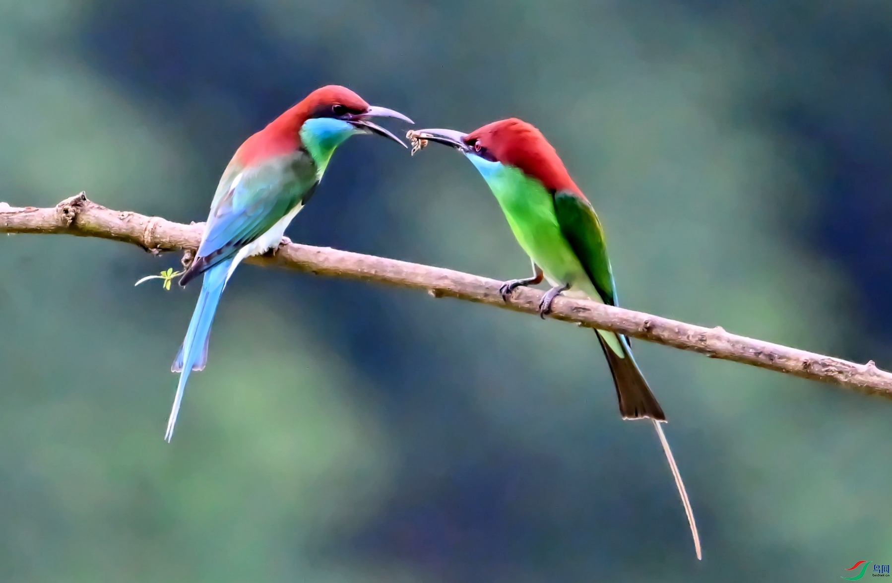 DSC_1969---_conew1.jpg
