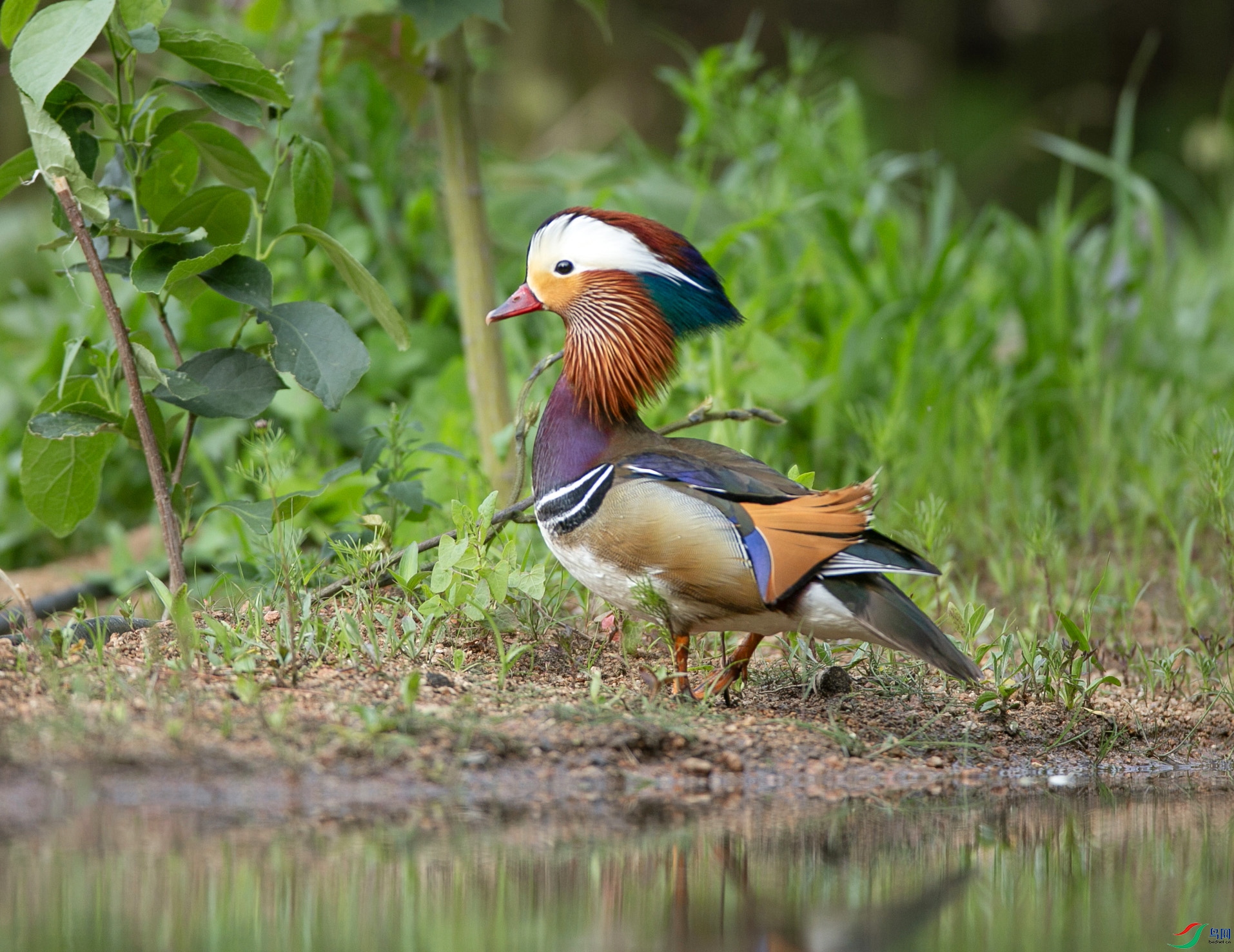 673A3917 ����.jpg