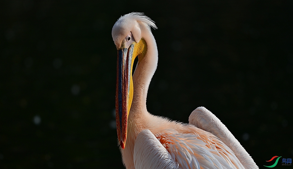 DSC_3508.JPG