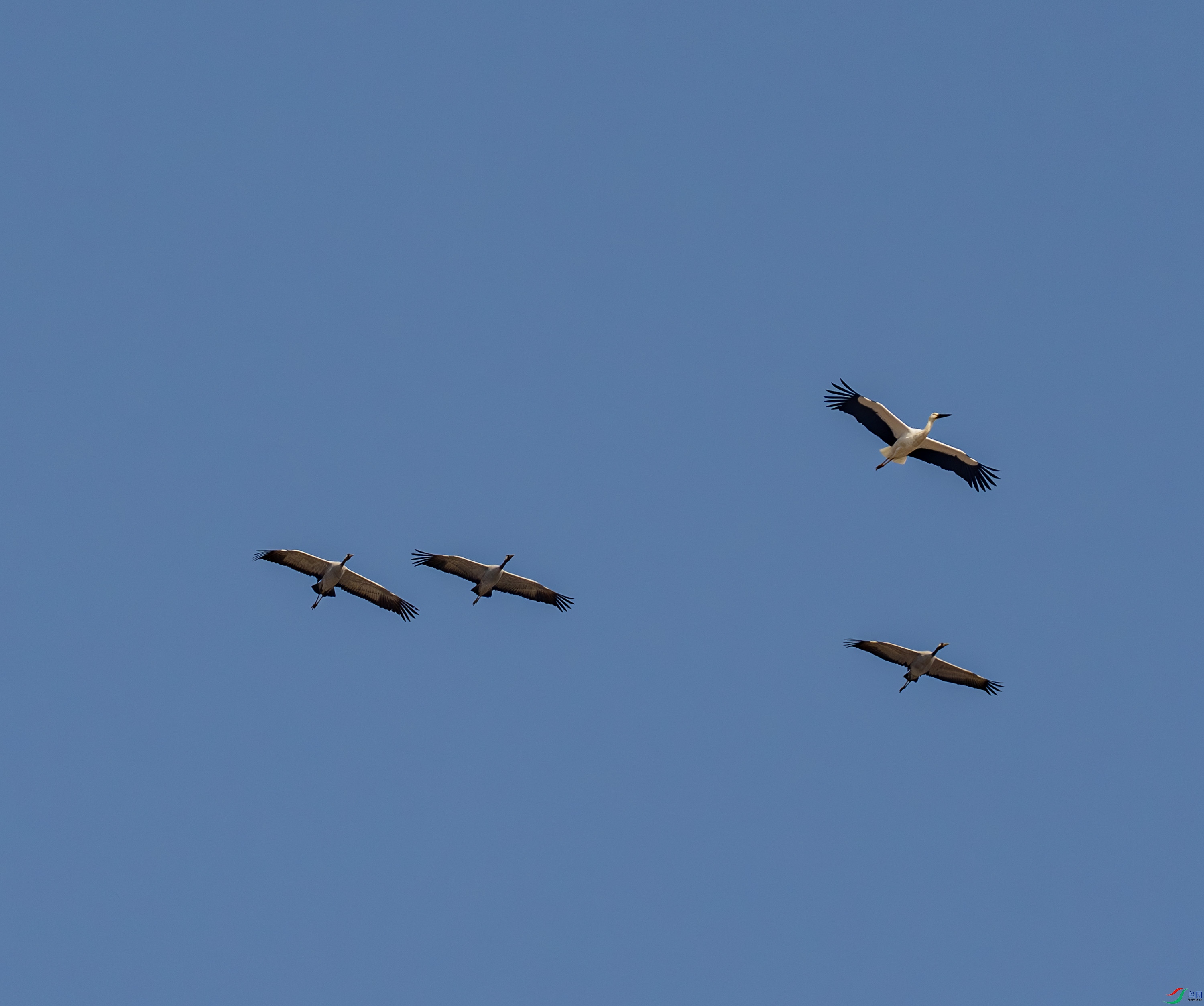 �Һ�-2.jpg