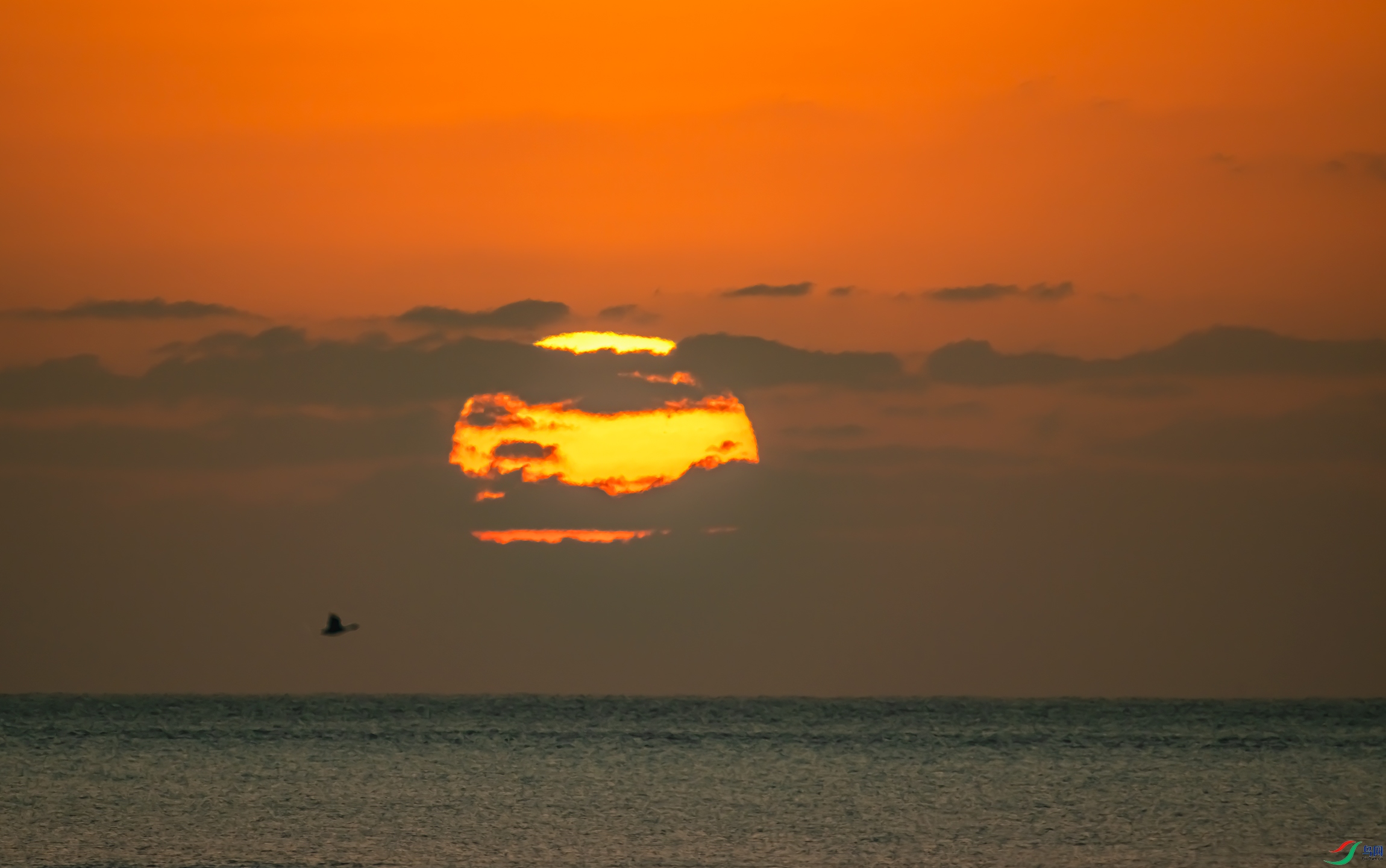 DSC_6627-11.jpg