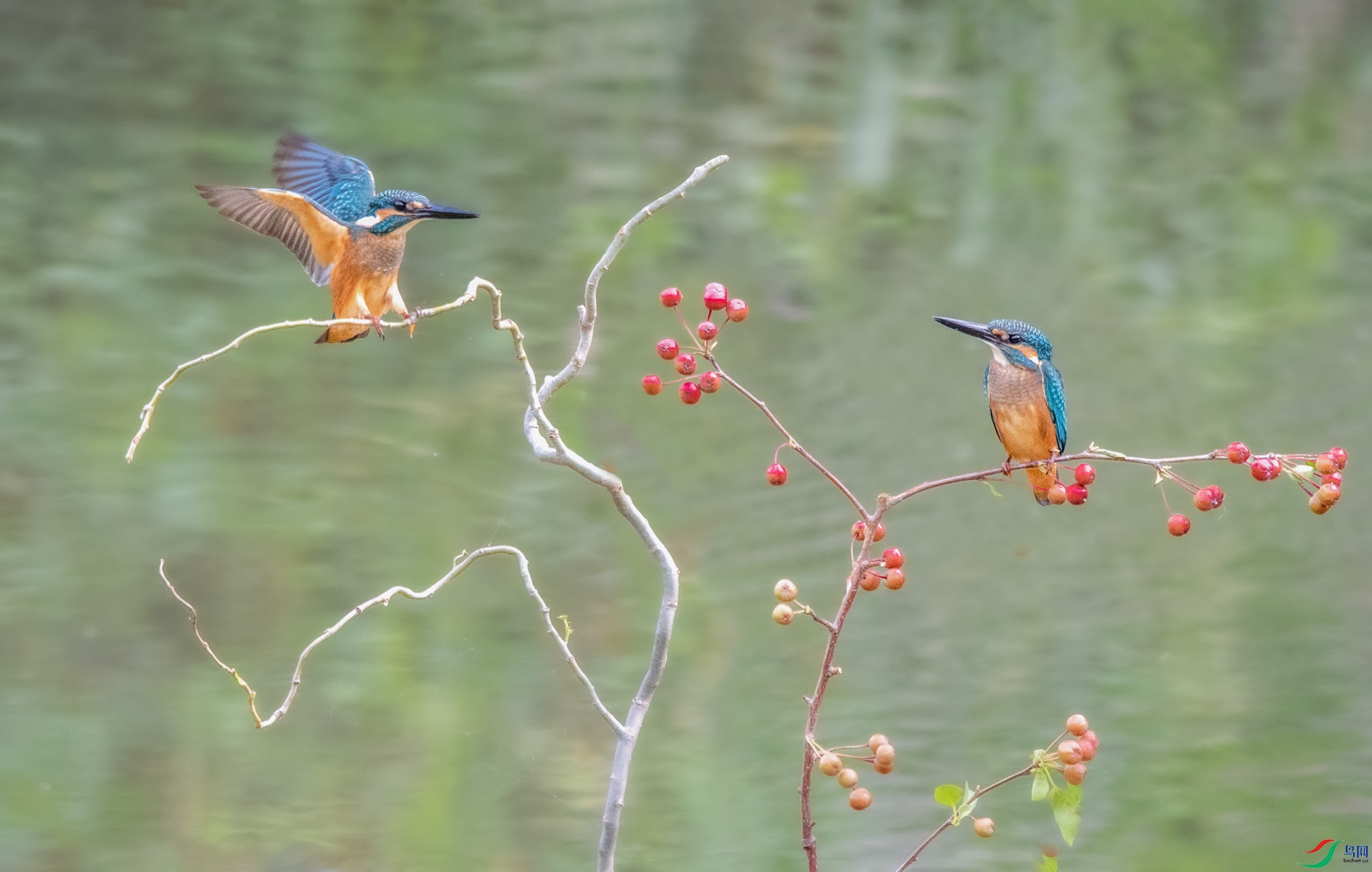 DSC_6174_��ͼ�� ����.jpg