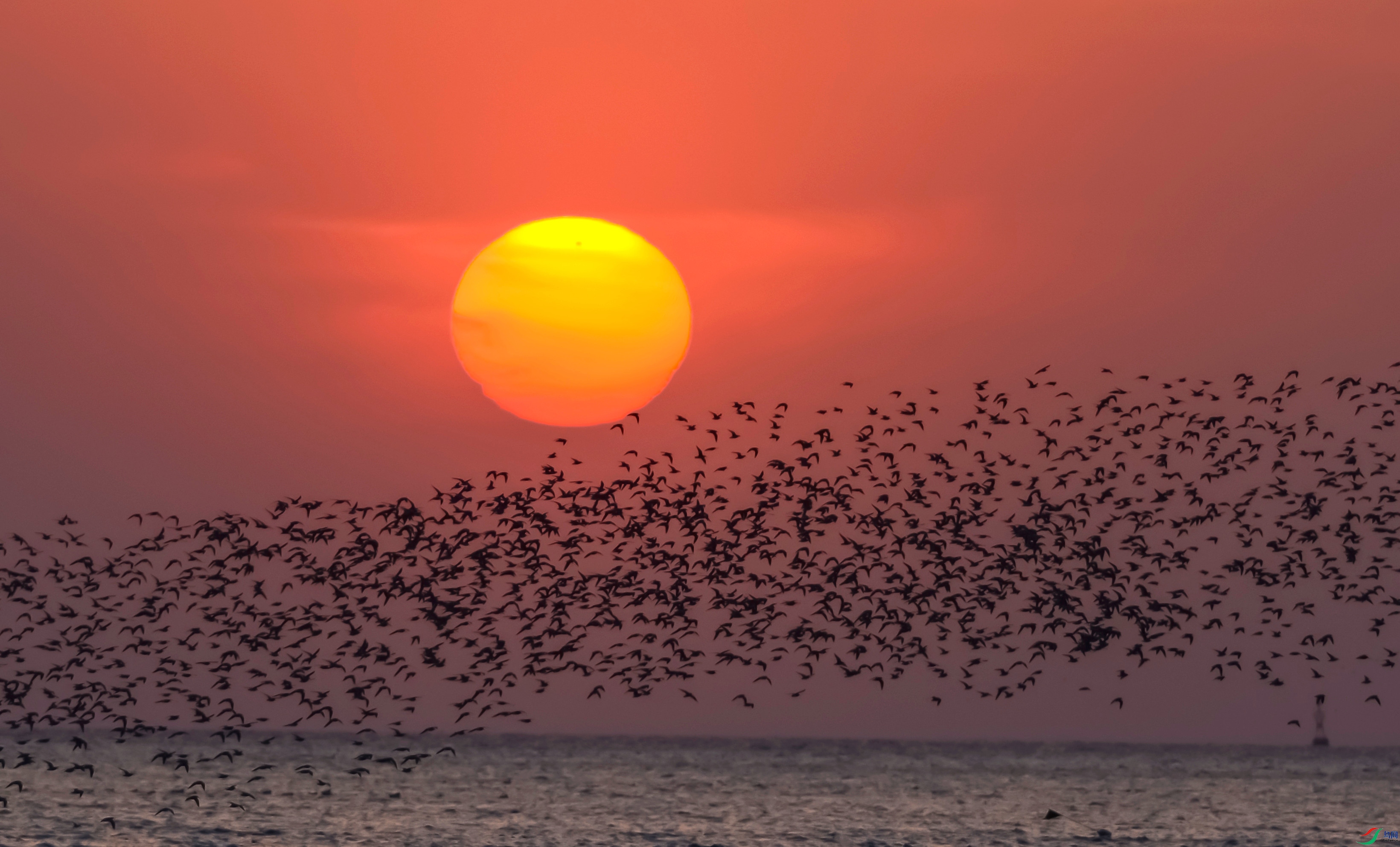 ��_DSC2541_����.jpg