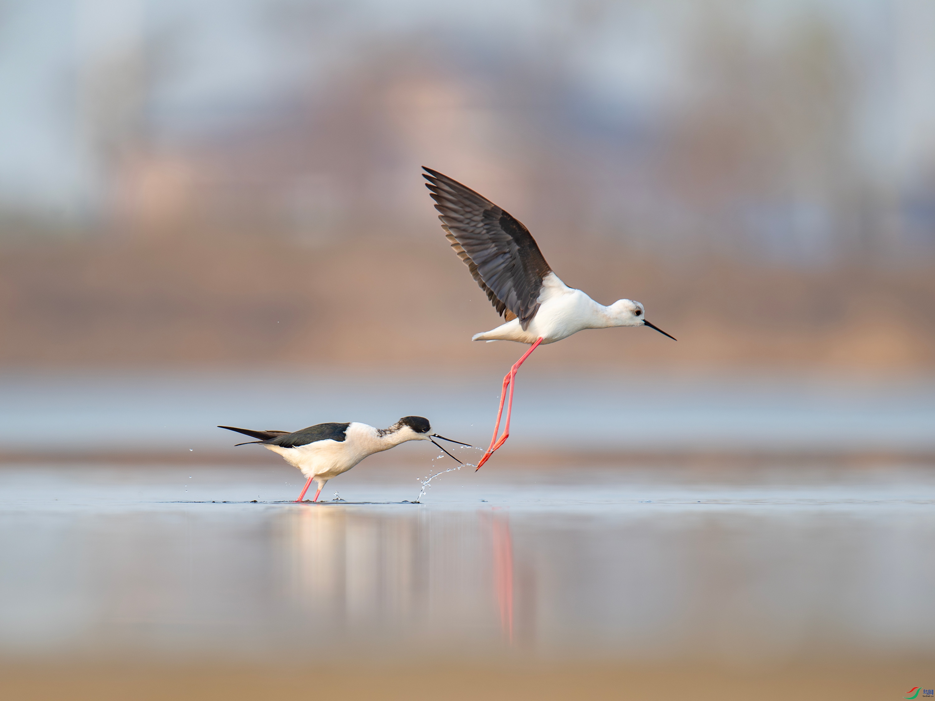 �ڳ᳤���� (1).jpg