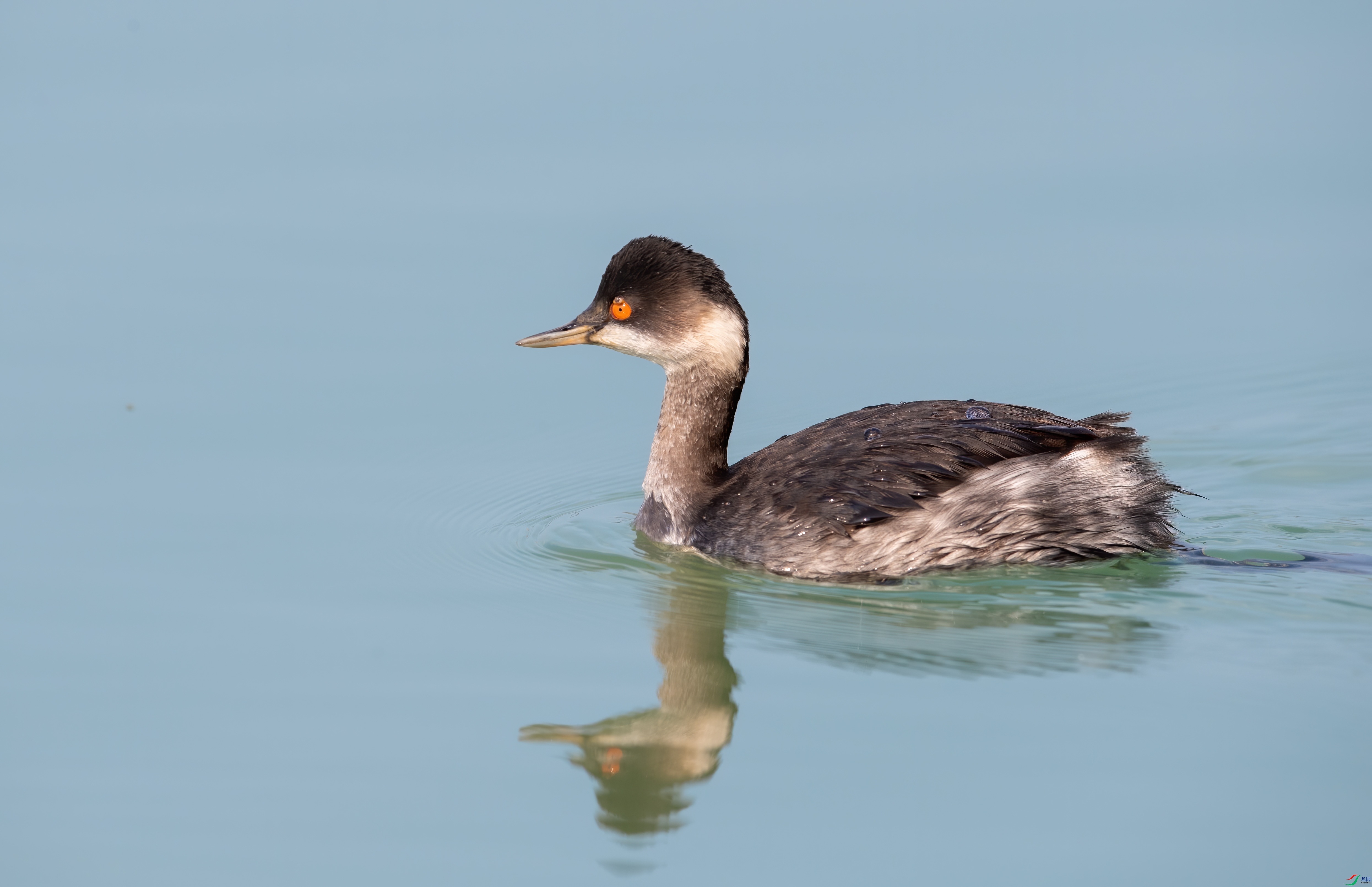 DSC_4905-1.jpg