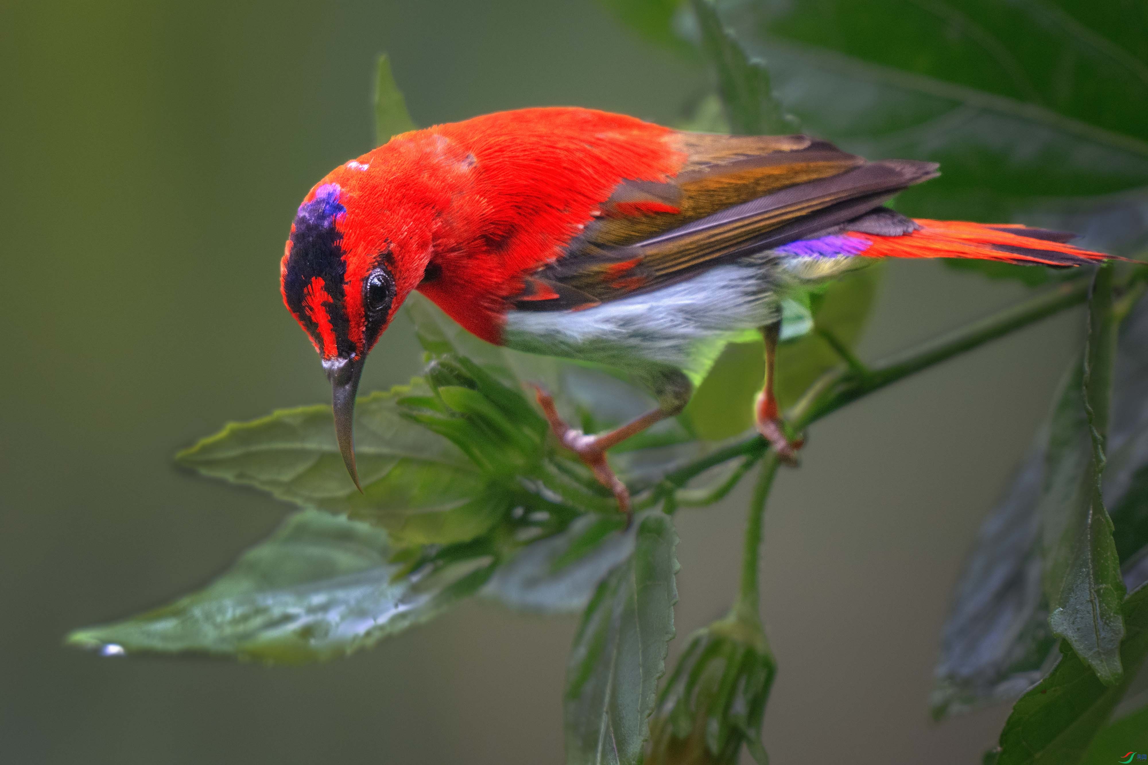 DSC_3273 ����1.jpg