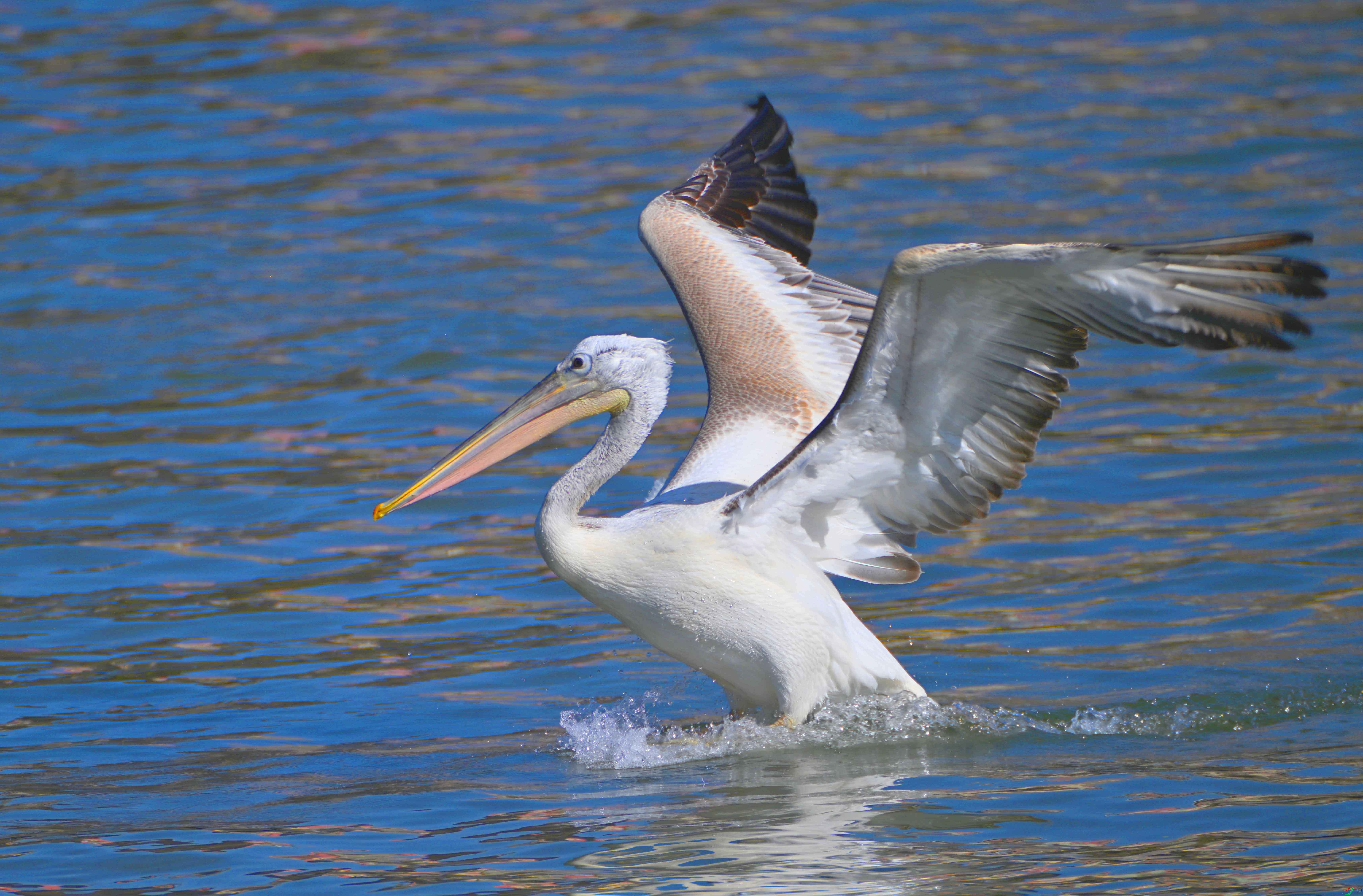 ��������������̬ (32) ����.jpg