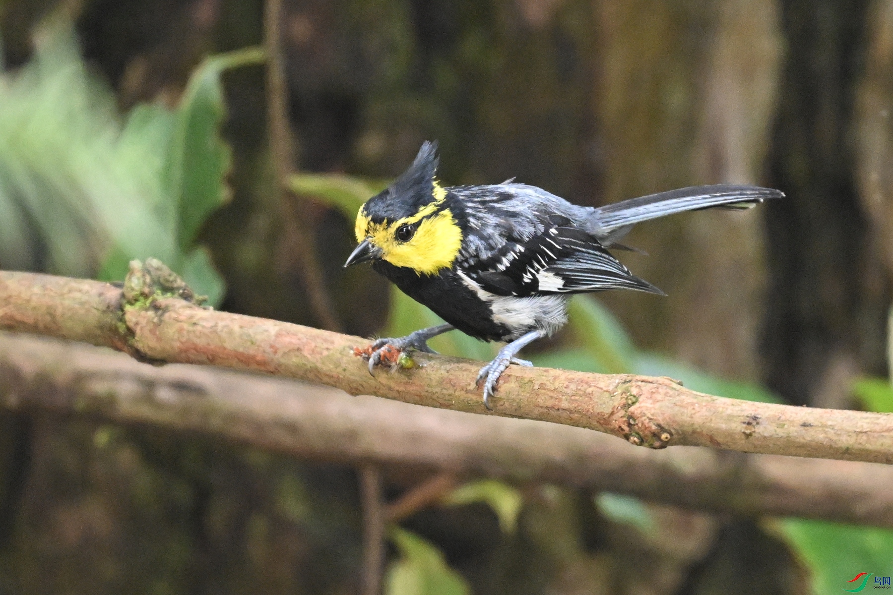 DSC_9985.JPG
