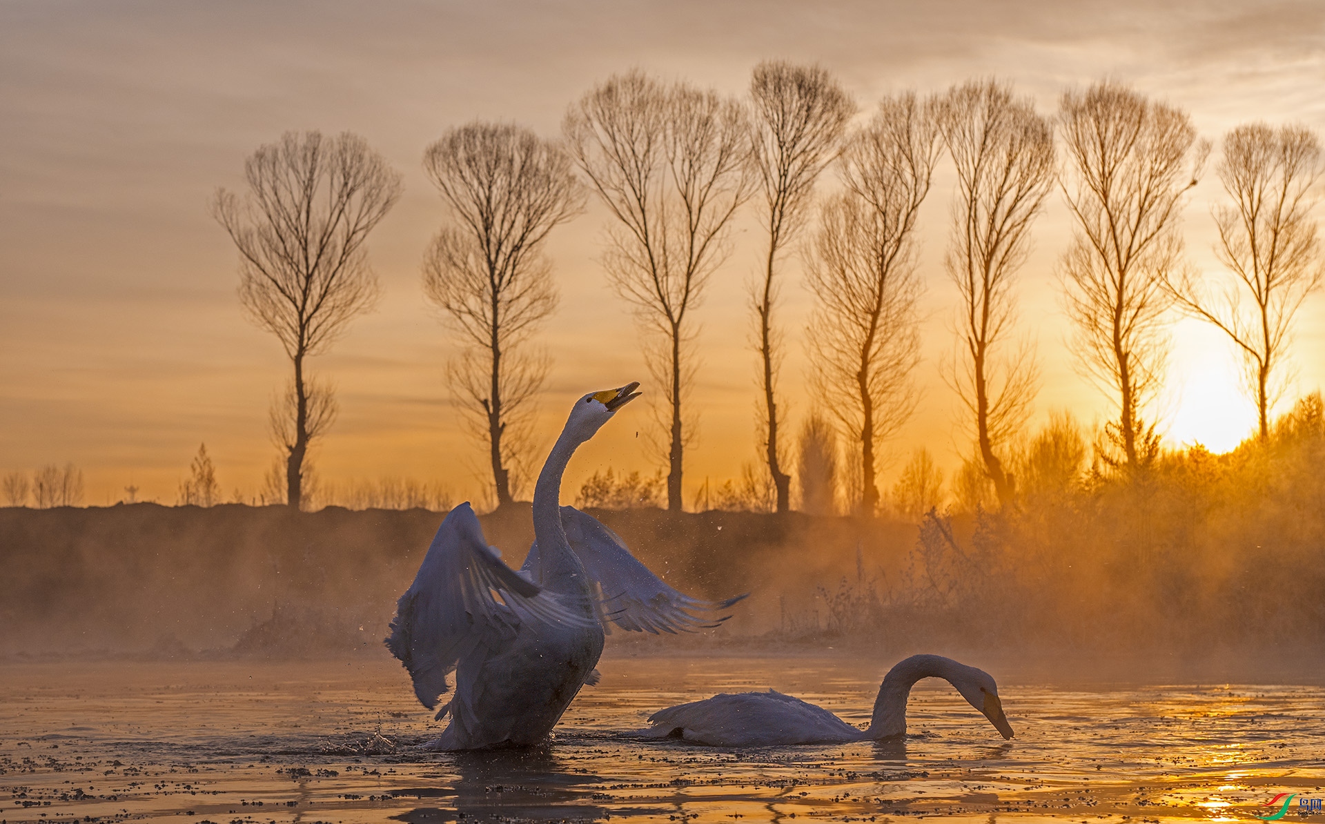 DSC_8535--2.jpg