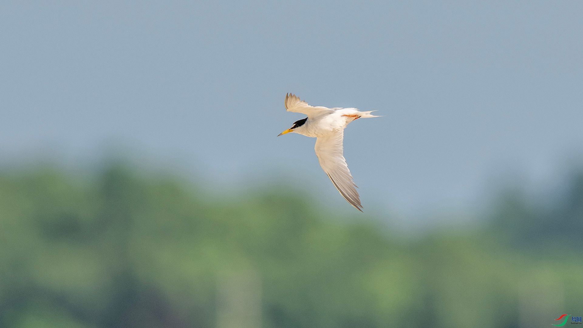 DSC09001 ����.jpg