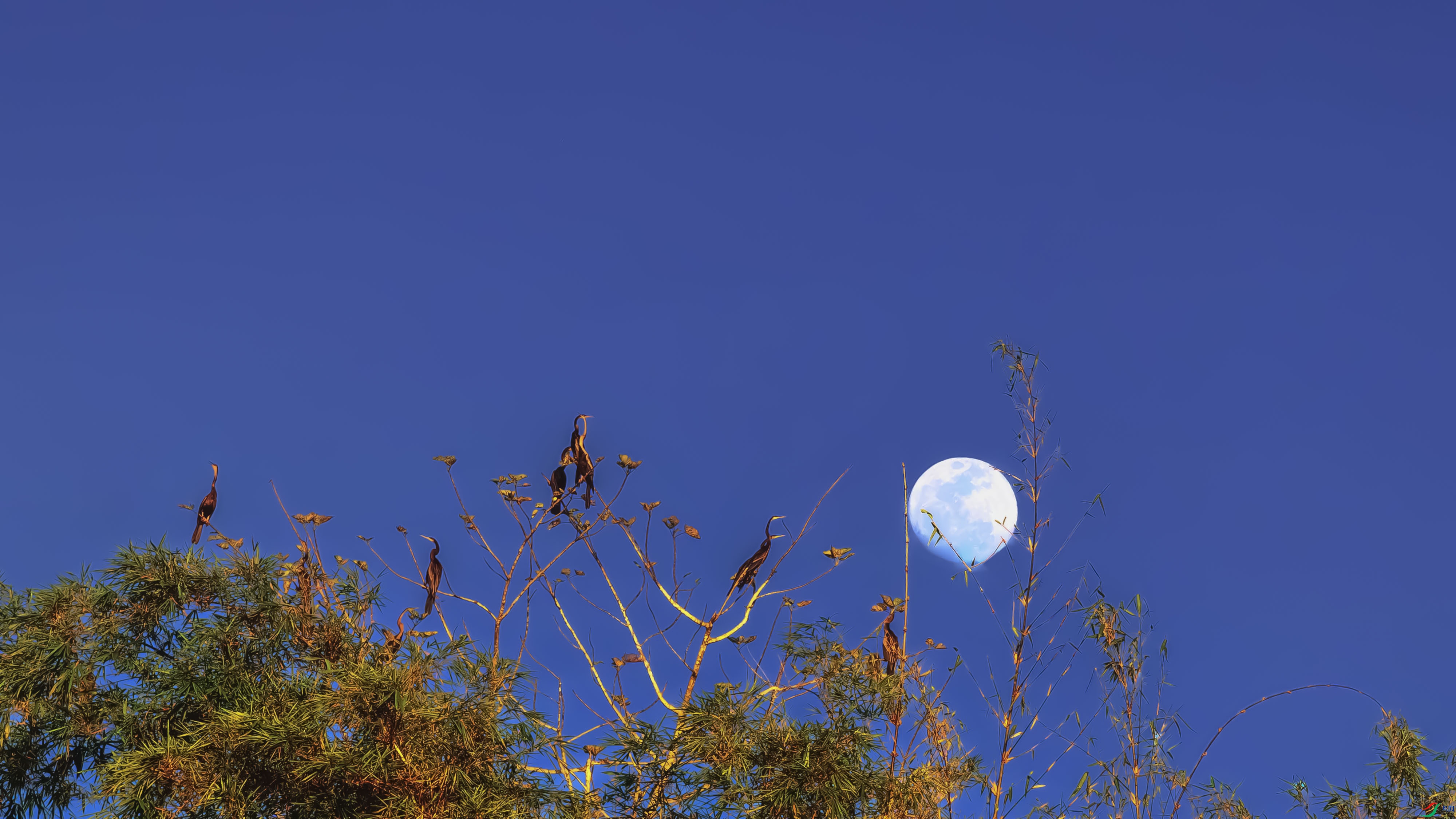 DSC_3219-����ǿ-NR ����1_1.jpg