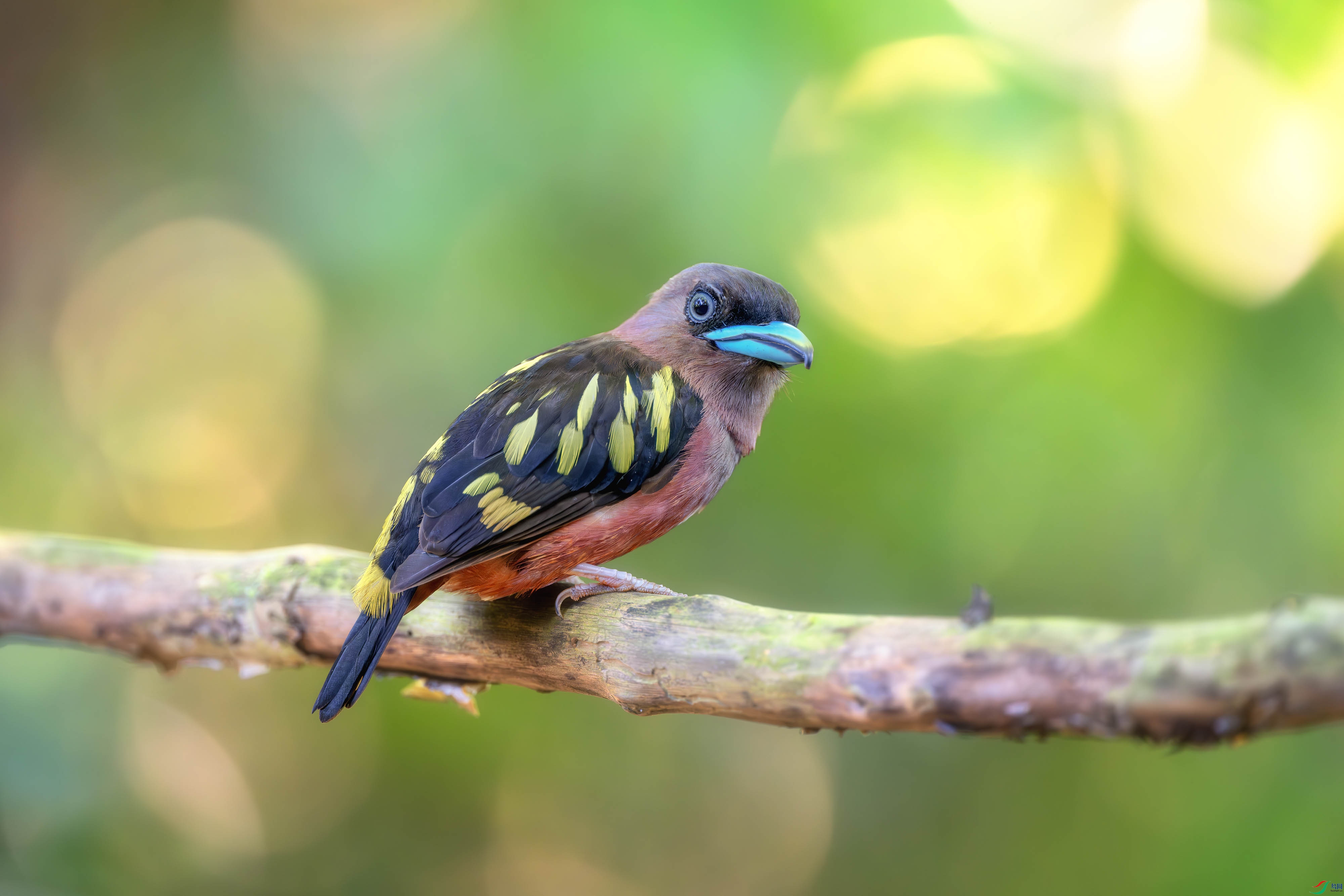 _DSC9731-����ǿ-NR ����1.jpg