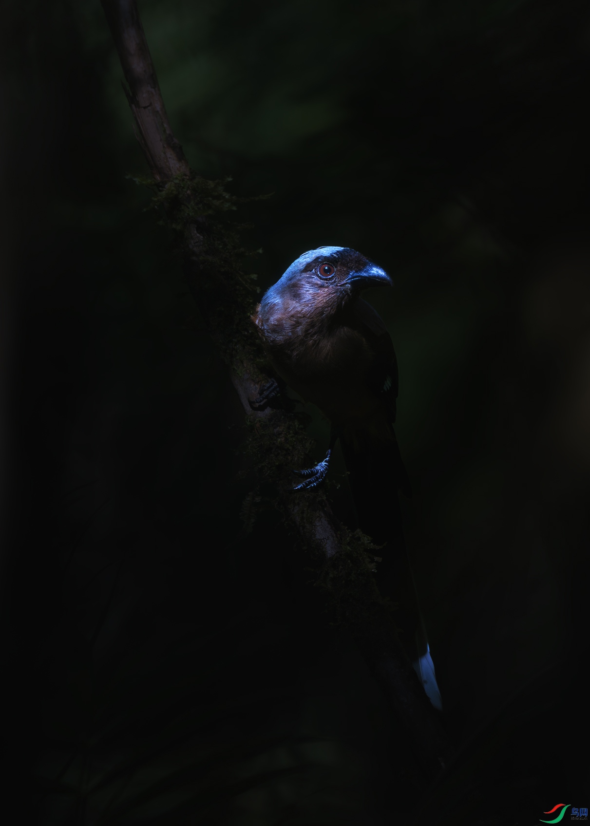 _DSC1479-����ǿ-NR-2 ����.jpg