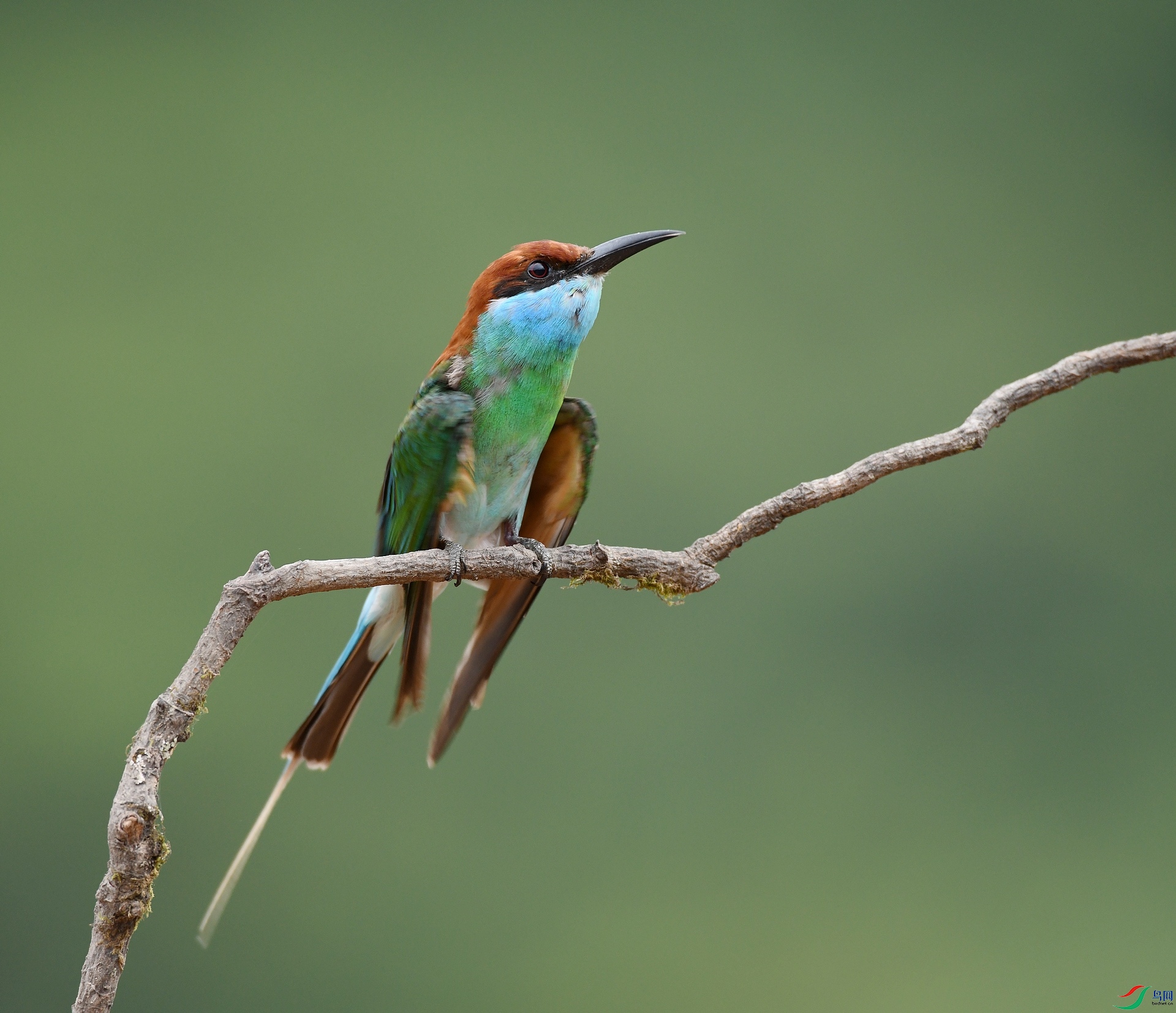 DSC_1032.jpg