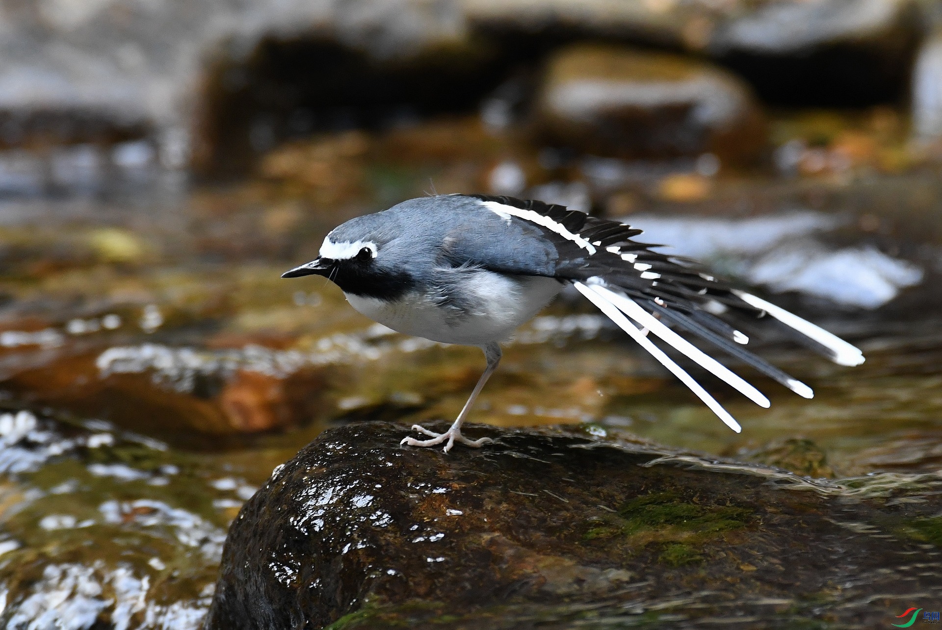 DSC_3801.jpg