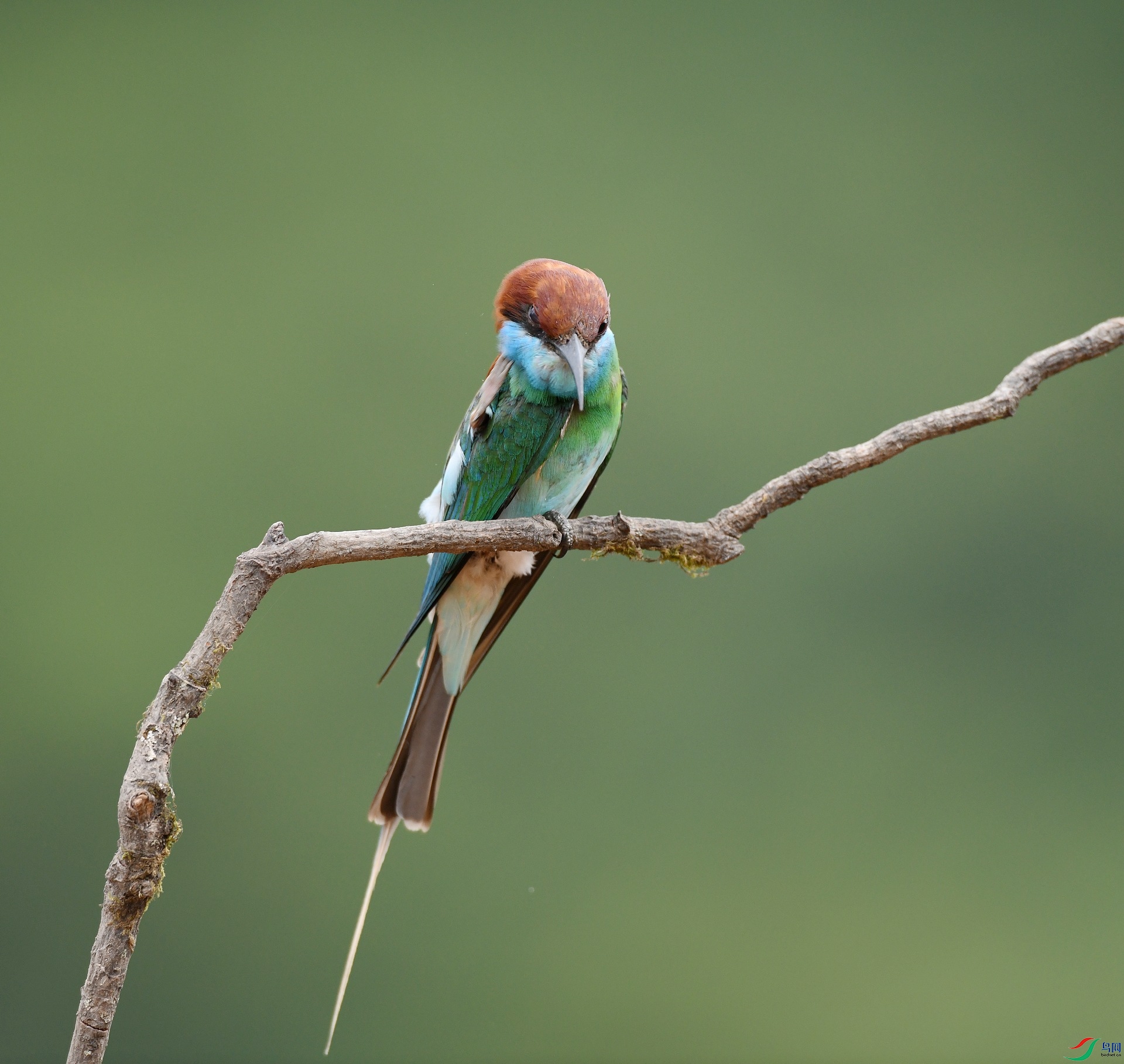 DSC_1031.jpg