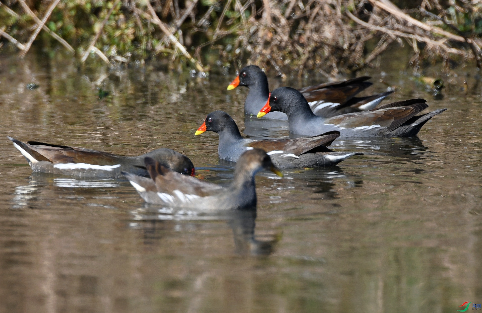 DSC_7141.jpg