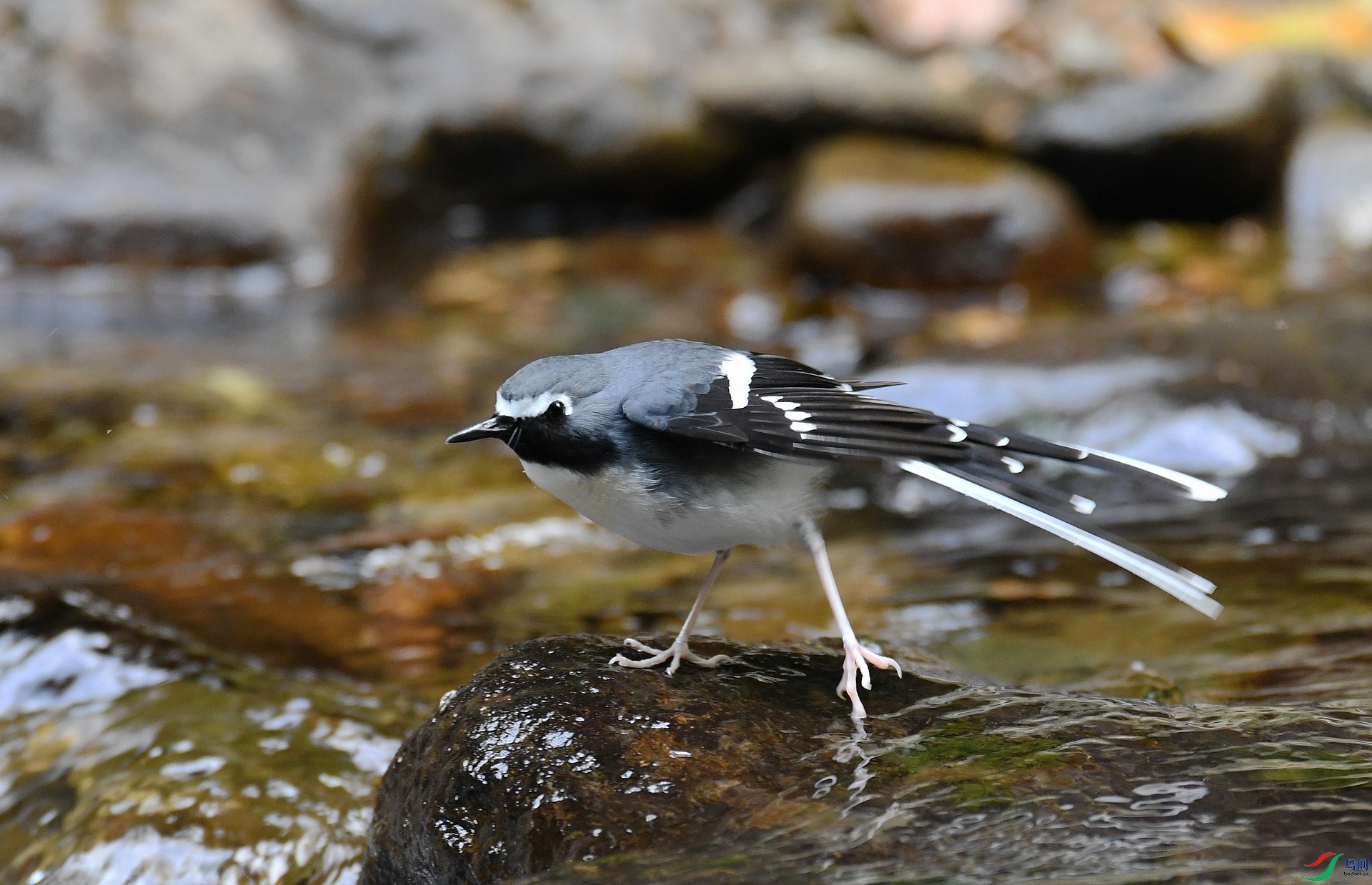 DSC_3804.jpg