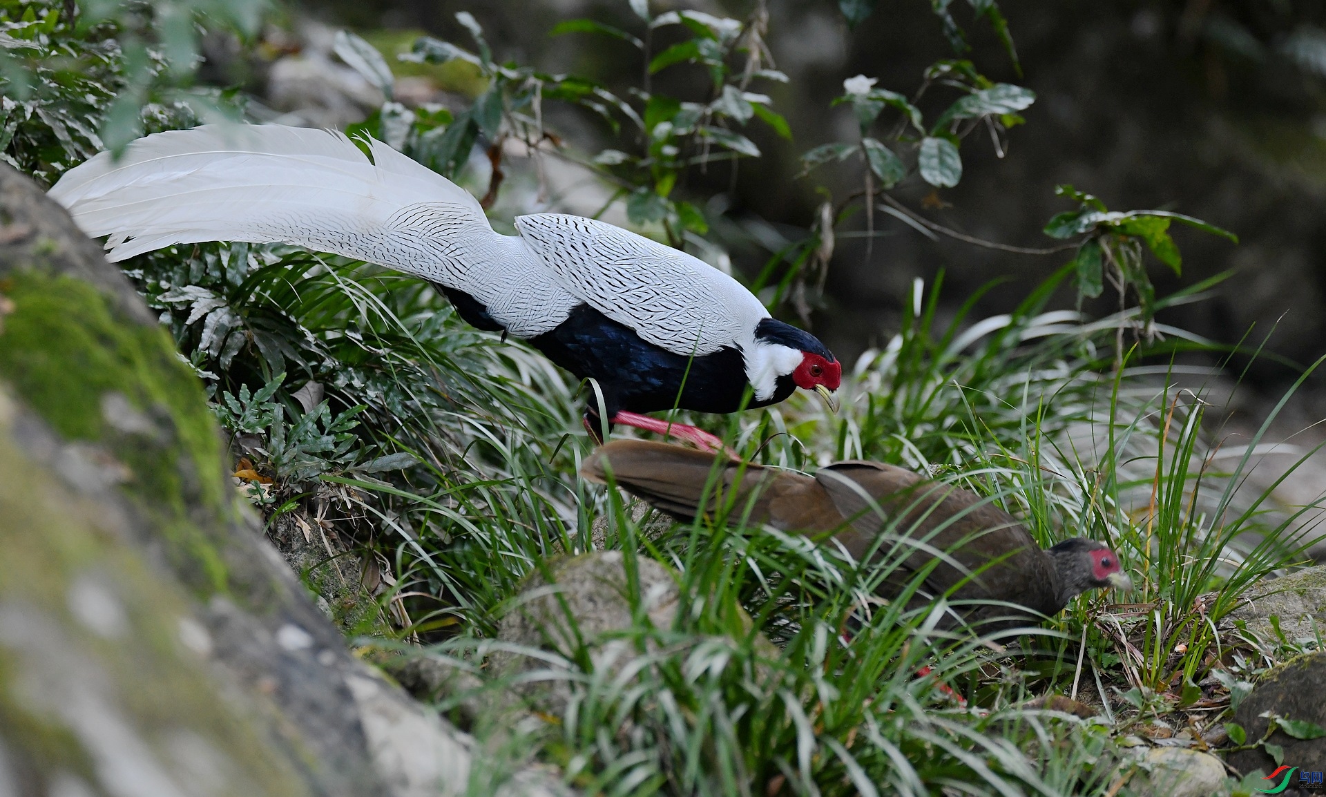 DSC_8585.jpg