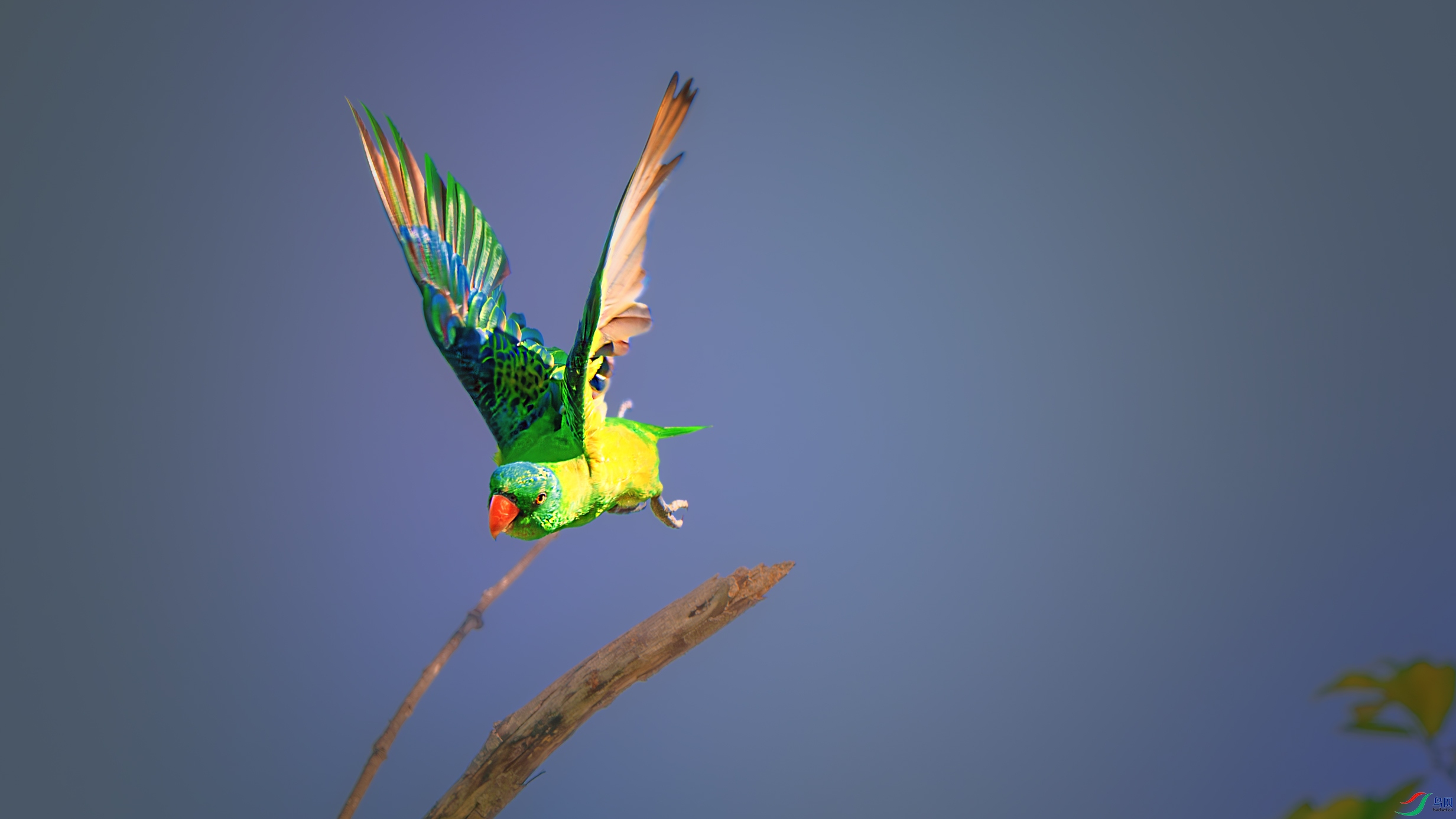 _DSC3826-����ǿ-NR ����.jpg