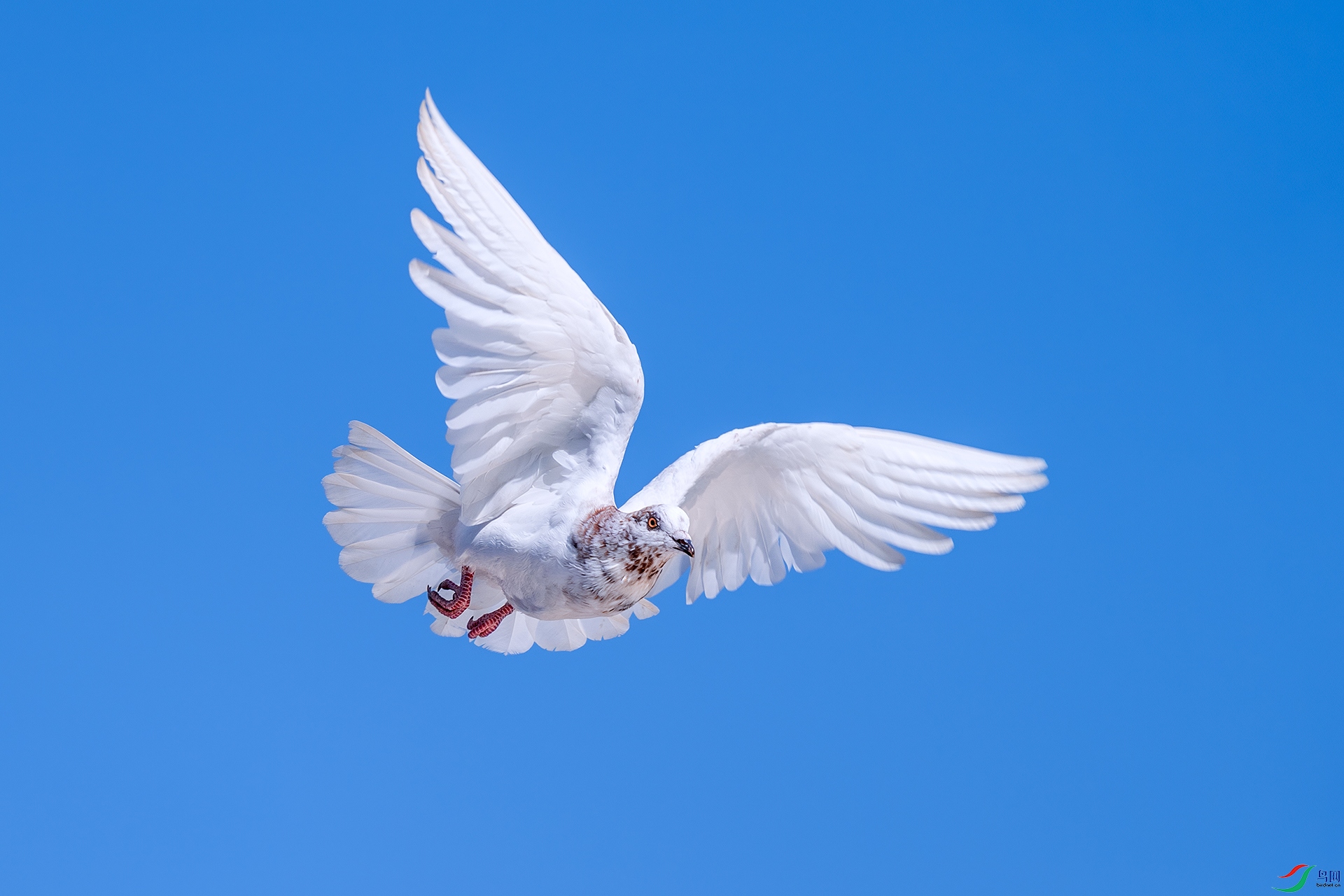 0_DSC7677.jpg