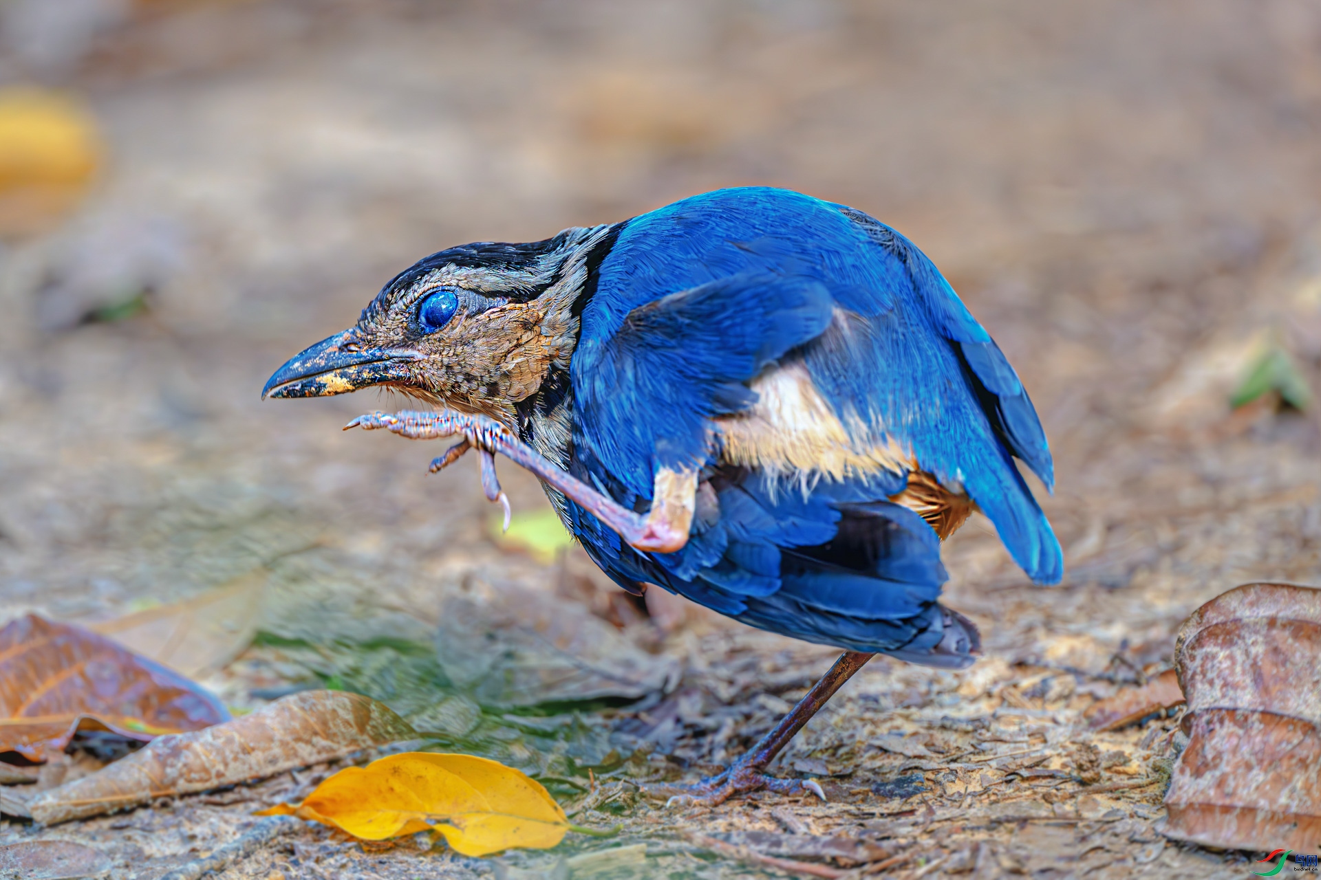 _DSC0184-����ǿ-NR ����_1.jpg