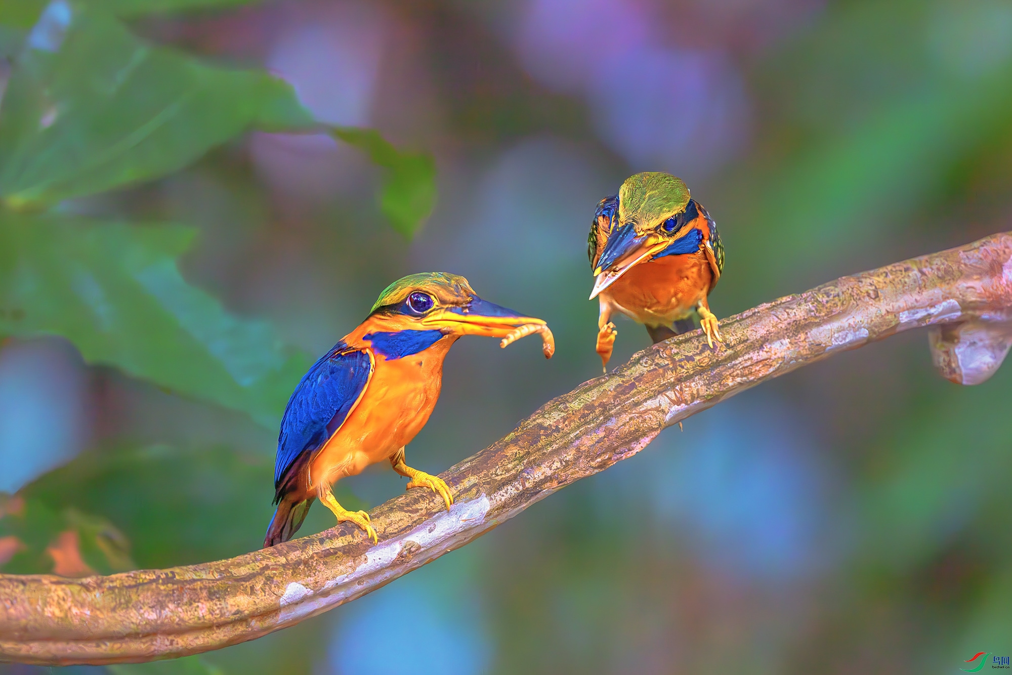 _DSC0193-����ǿ-NR ����.jpg