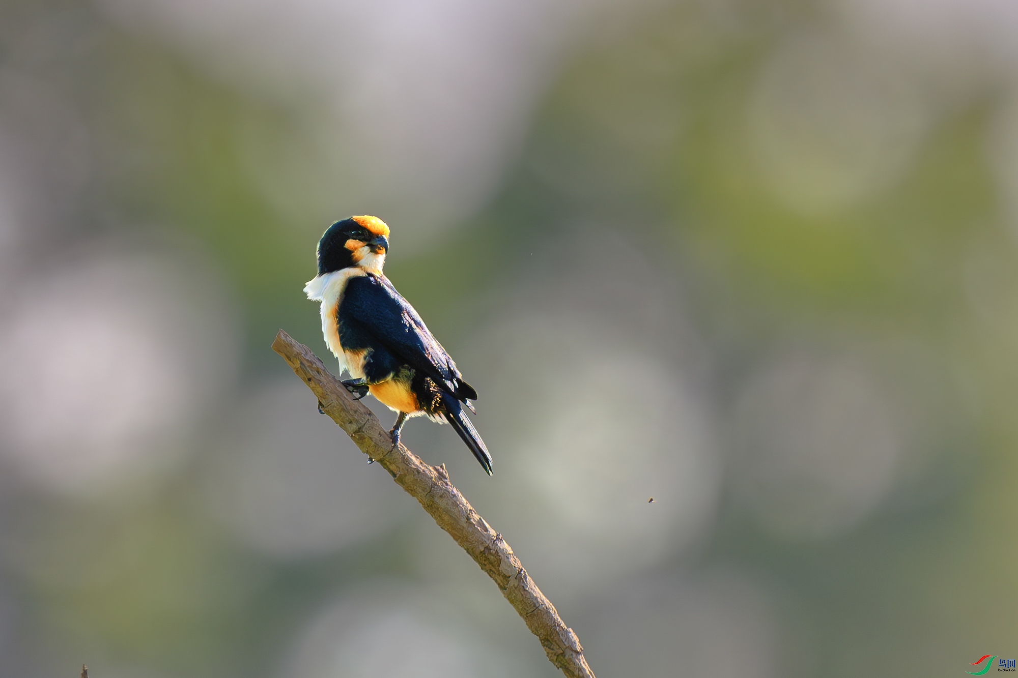 _DSC2606-����ǿ-NR ����.jpg