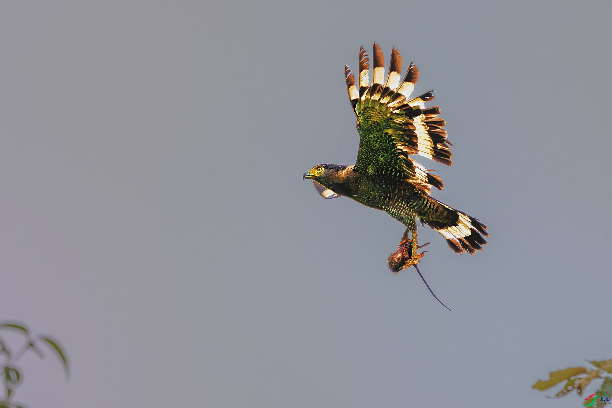 _DSC3990-����ǿ-NR ����.jpg