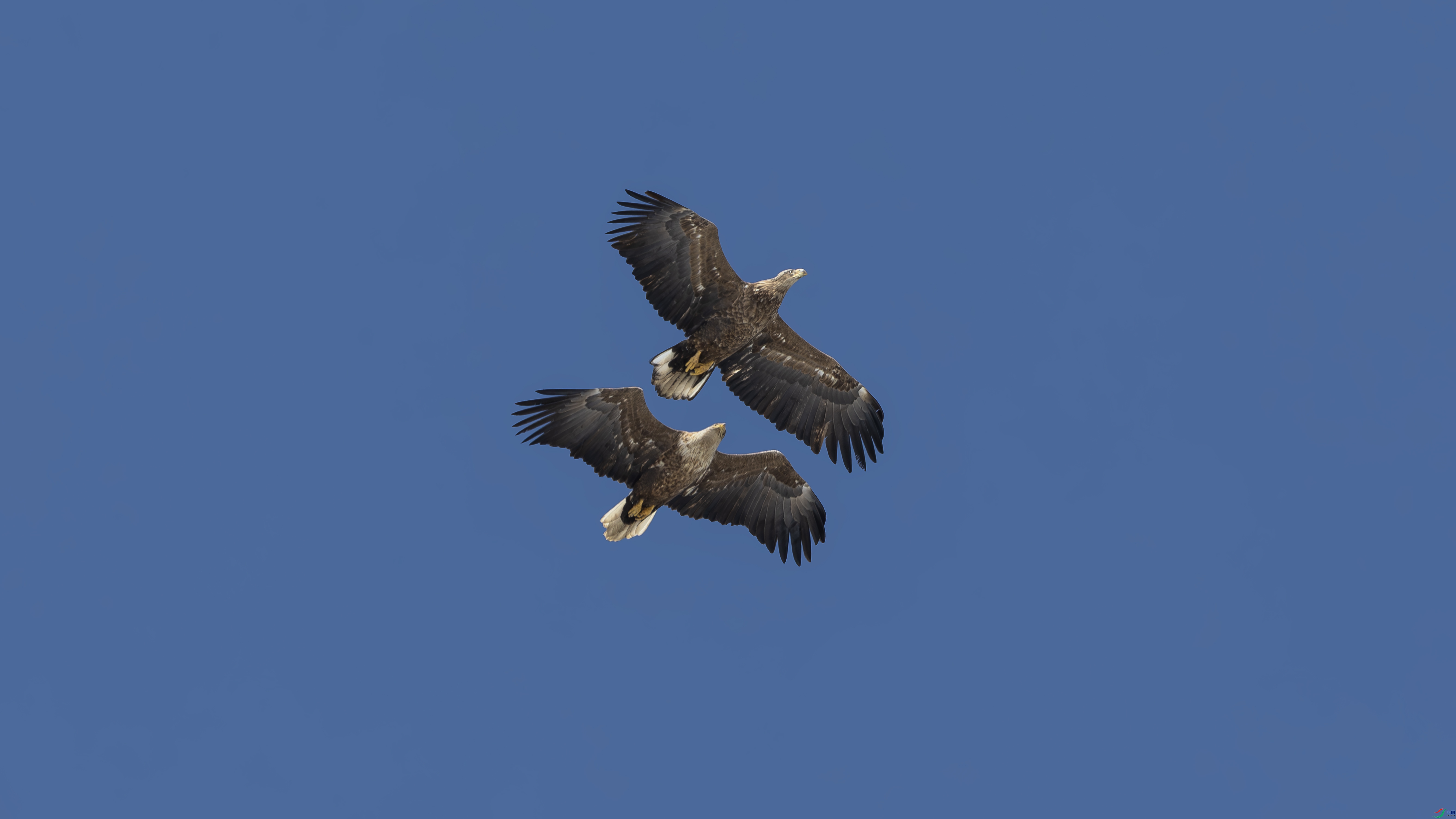 _O7A2446 ����555.jpg