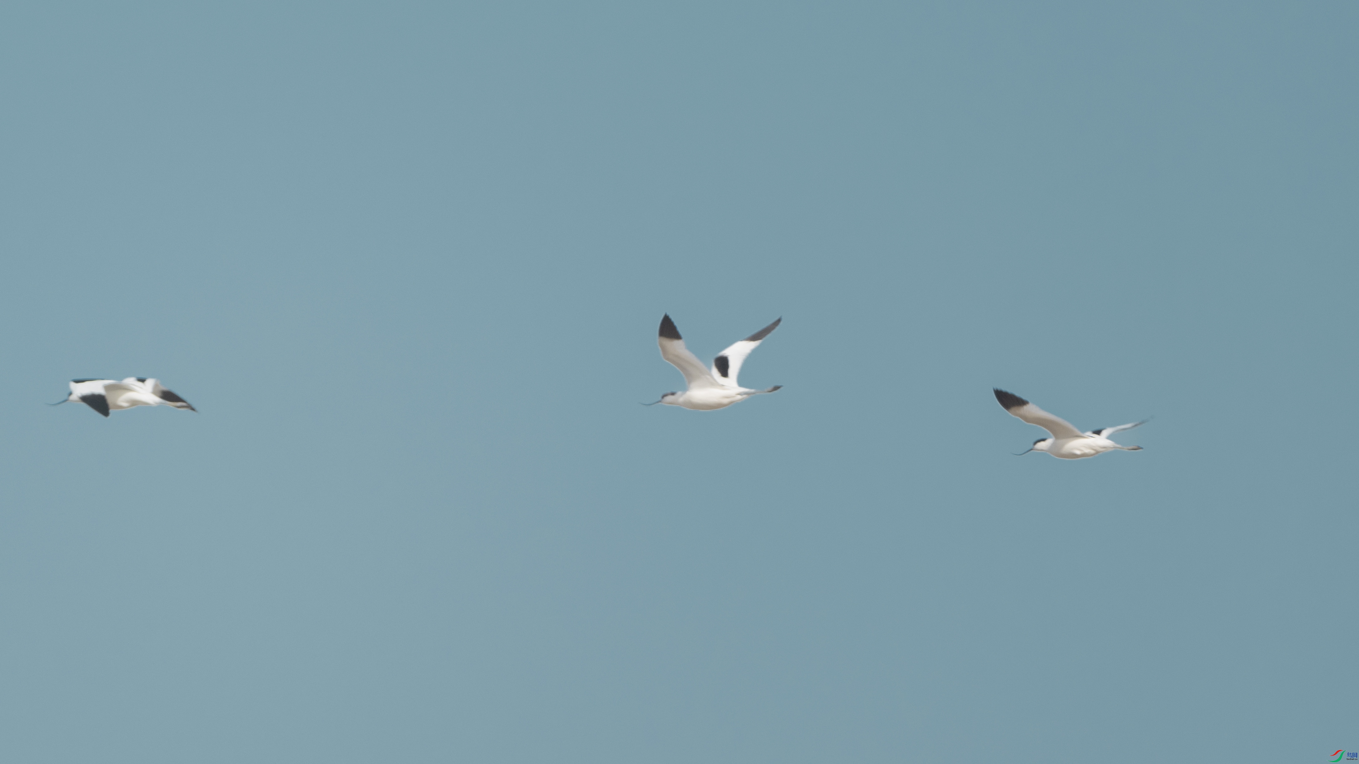 DSC_8976 ����.jpg