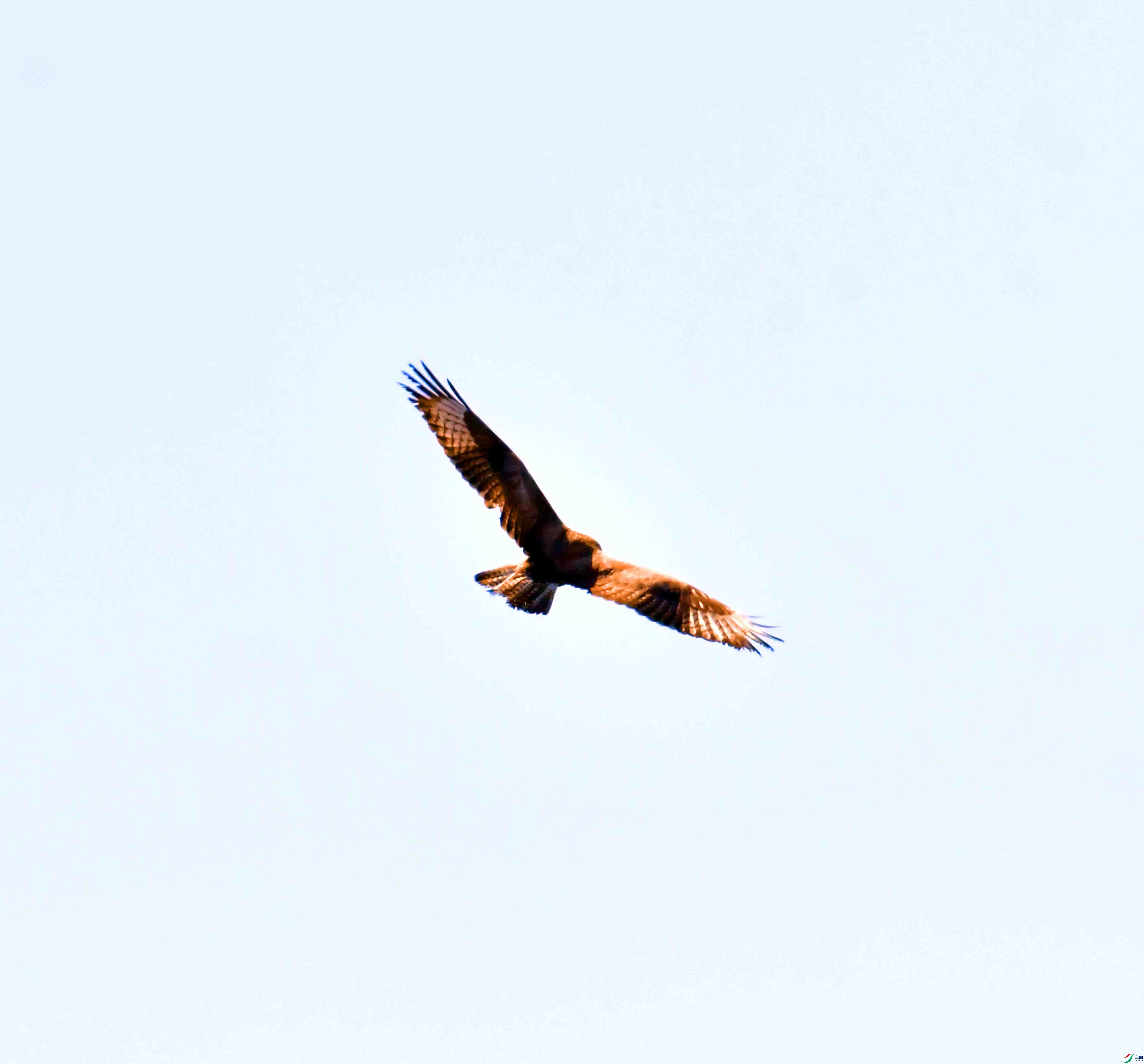 DSC_6424.JPG